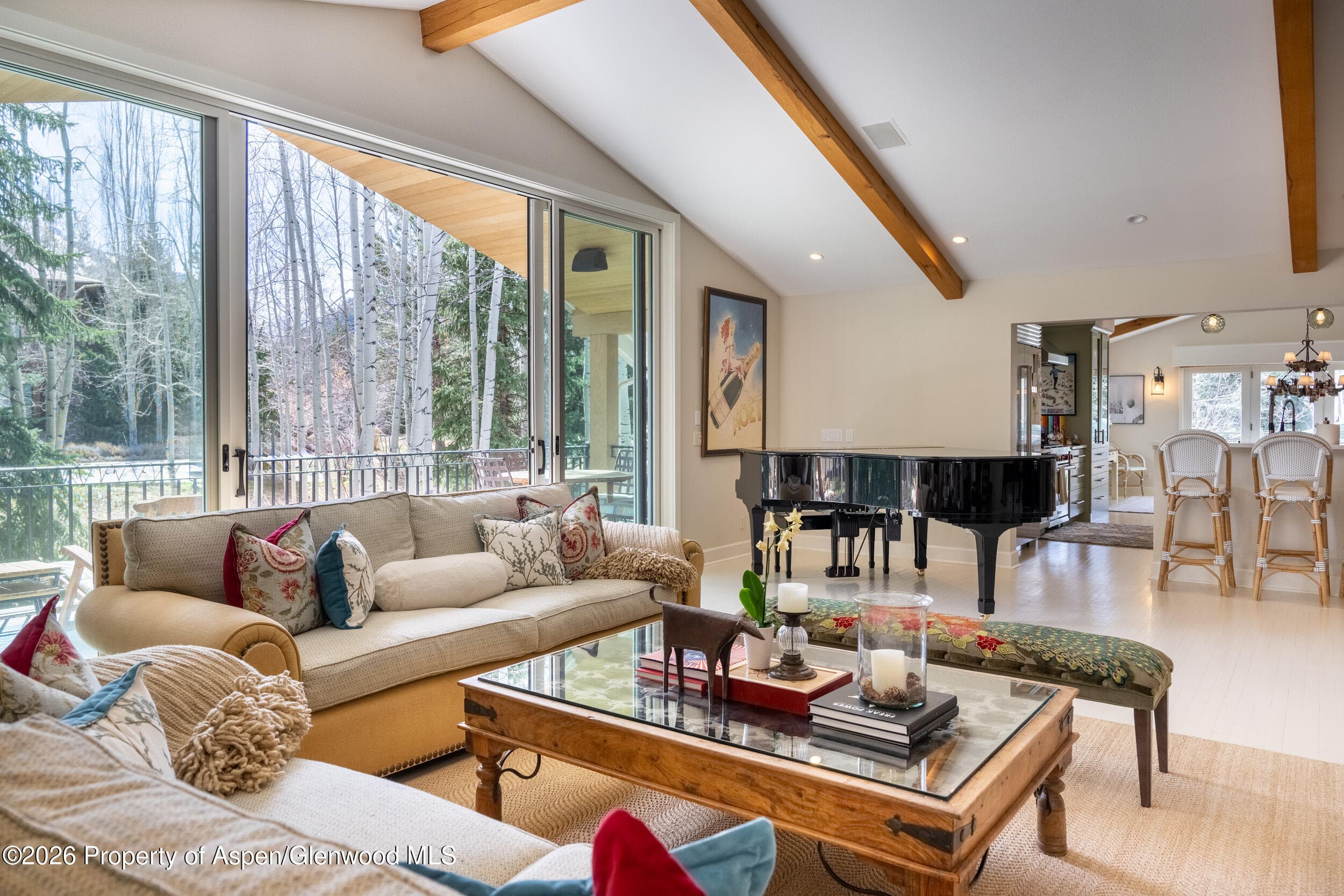 86 Maroon Drive, Aspen, CO 81611 - Photo 5