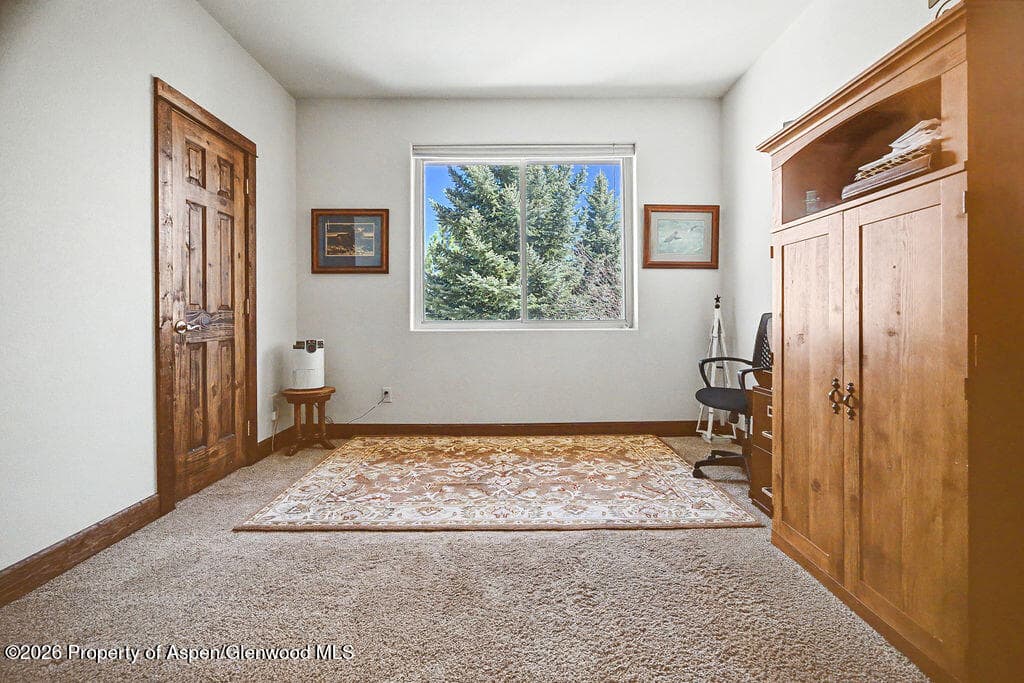 270 Harvest Drive, Hayden, CO 81639 - Photo 45