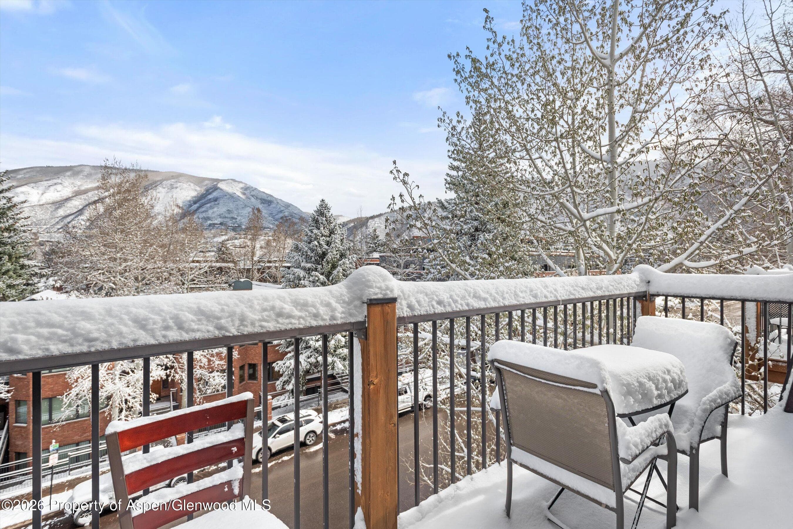 205 E Durant Avenue 3 G, Aspen, CO 81611 - Photo 13