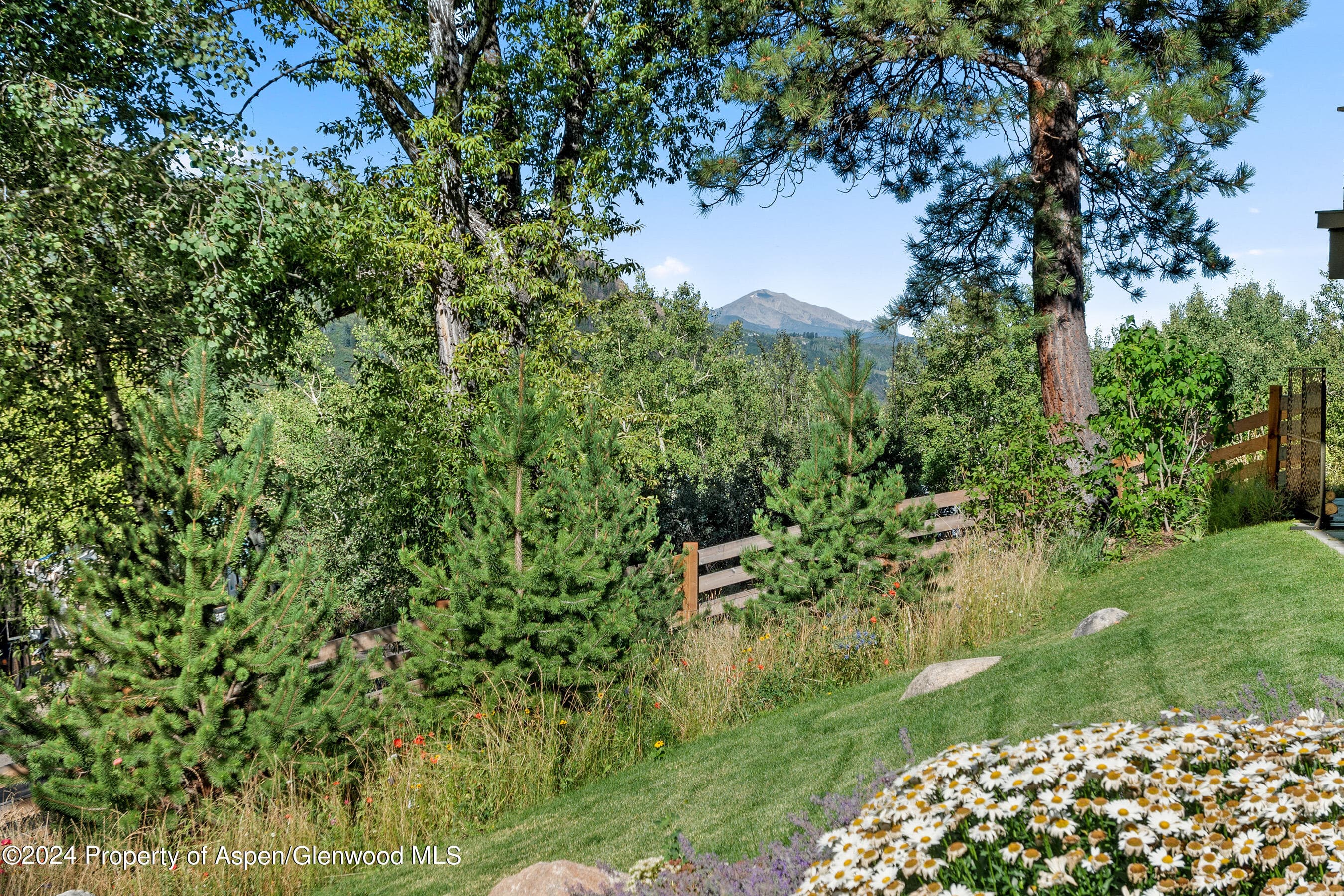 552 Mountain Laurel Drive, Aspen, CO 81611 - Photo 54