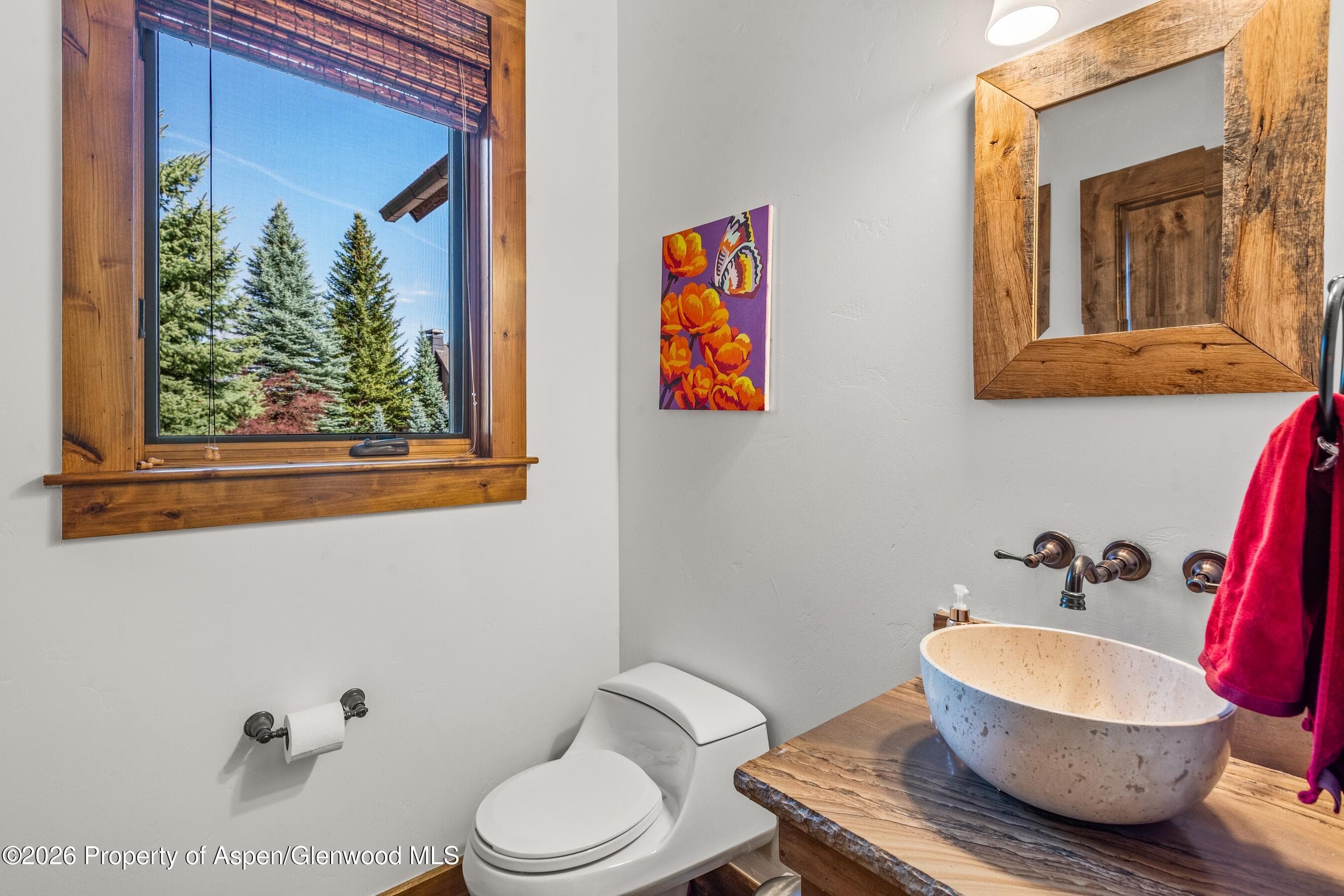 104 Sopris Mesa Drive, Carbondale, CO 81623 - Photo 36