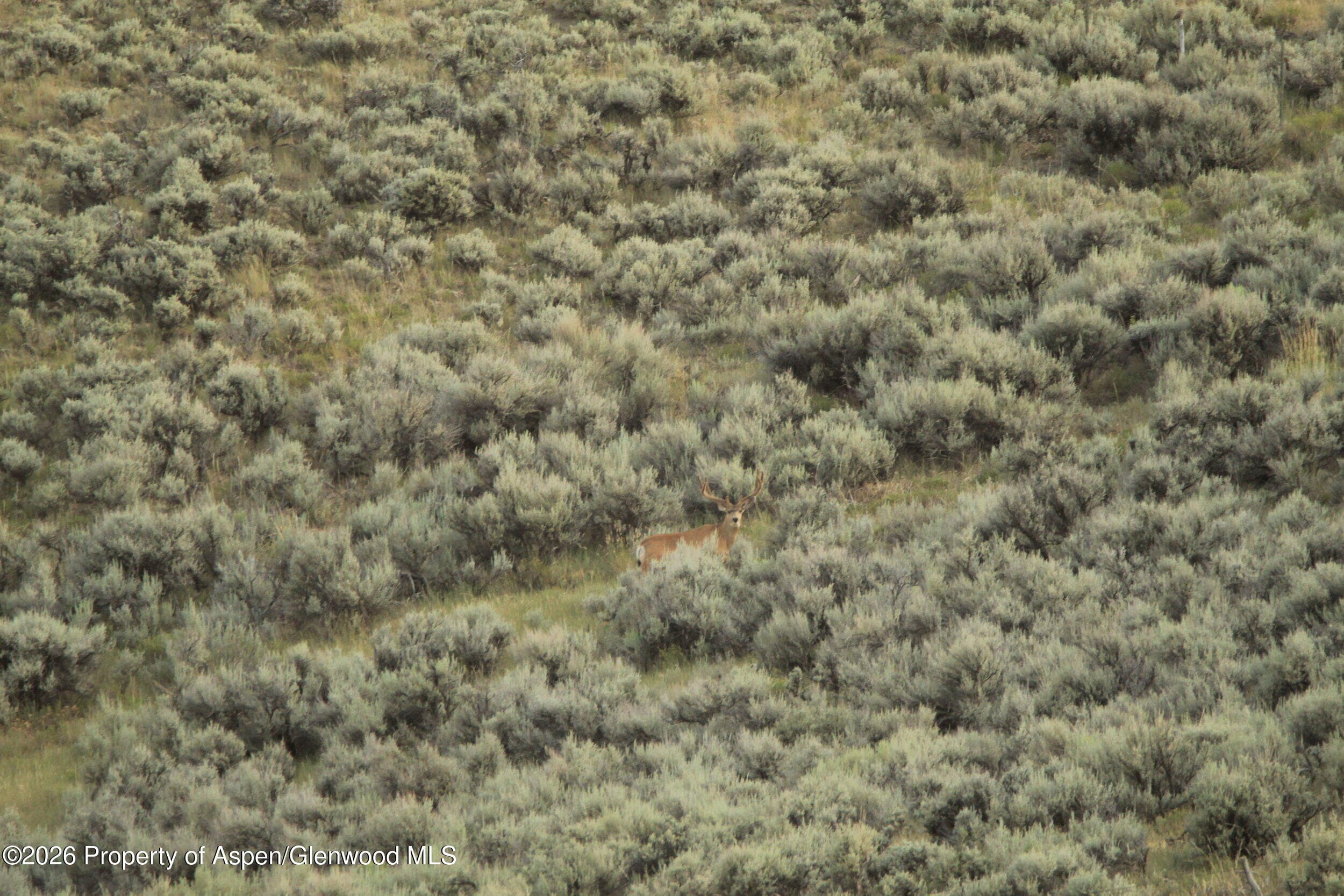 Tbd Highway 40, Craig, CO 81625 - Photo 12