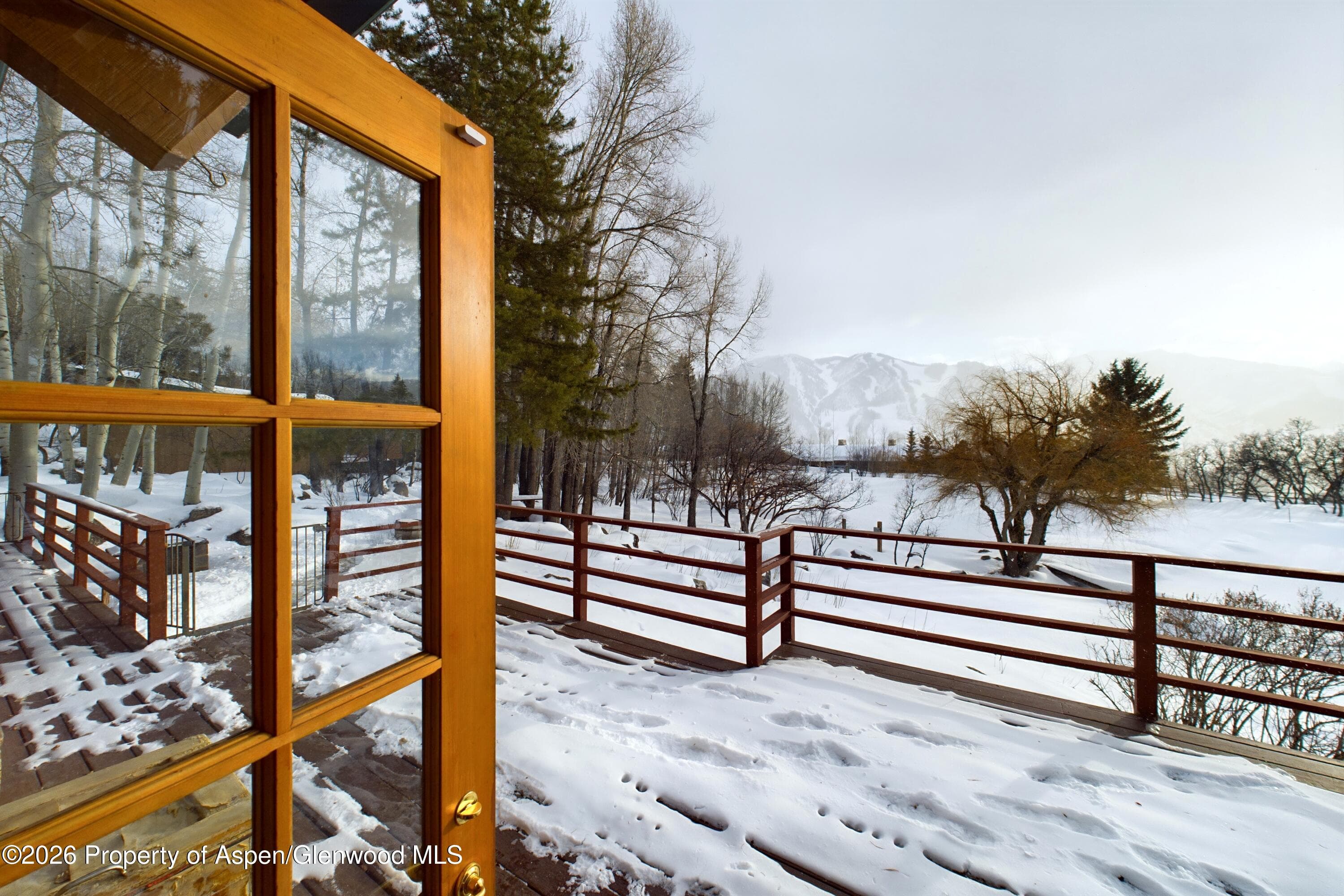 209 E Reds Road, Aspen, CO 81611 - Photo 15