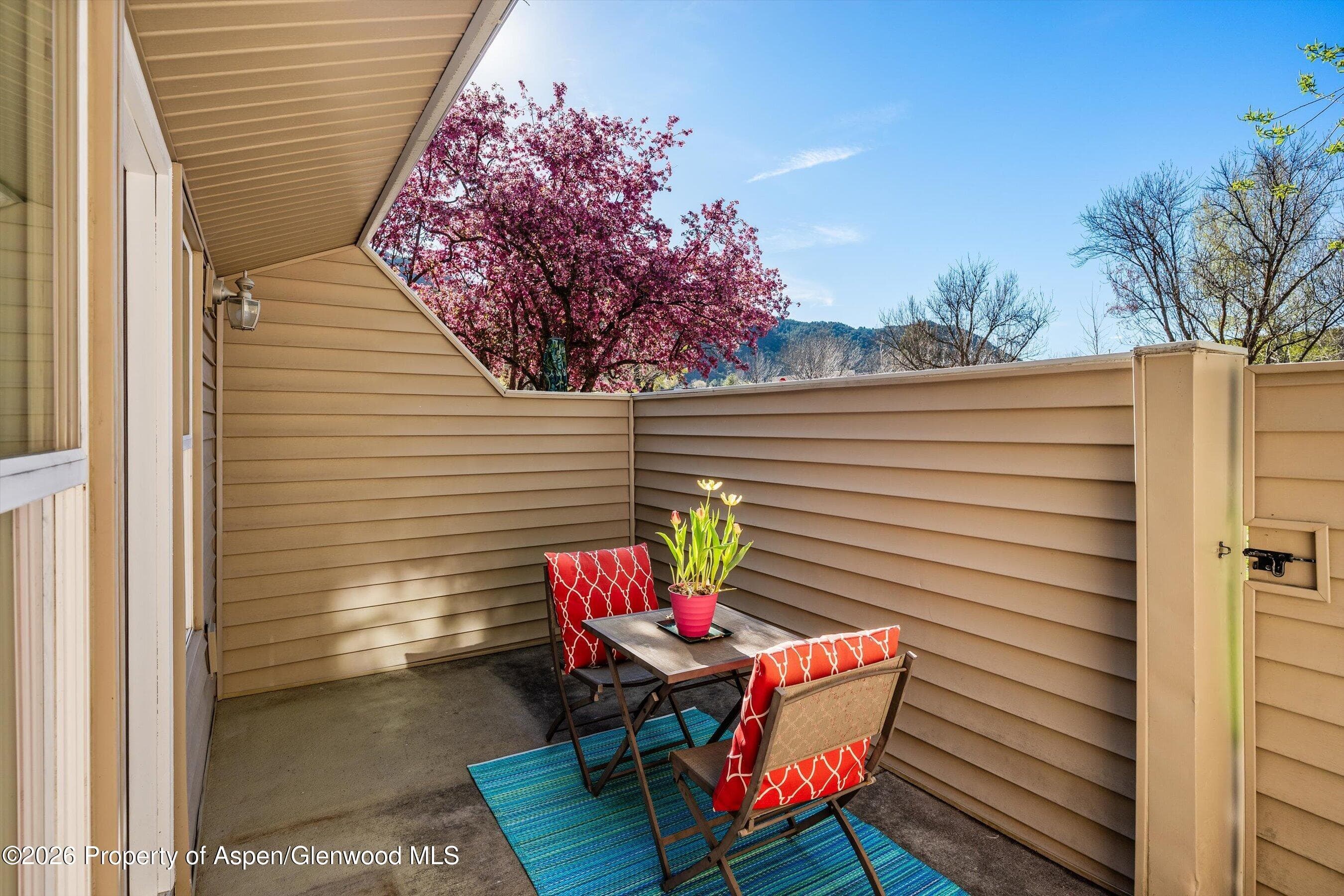 1329 Pitkin Avenue 21, Glenwood Springs, CO 81601 - Photo 9