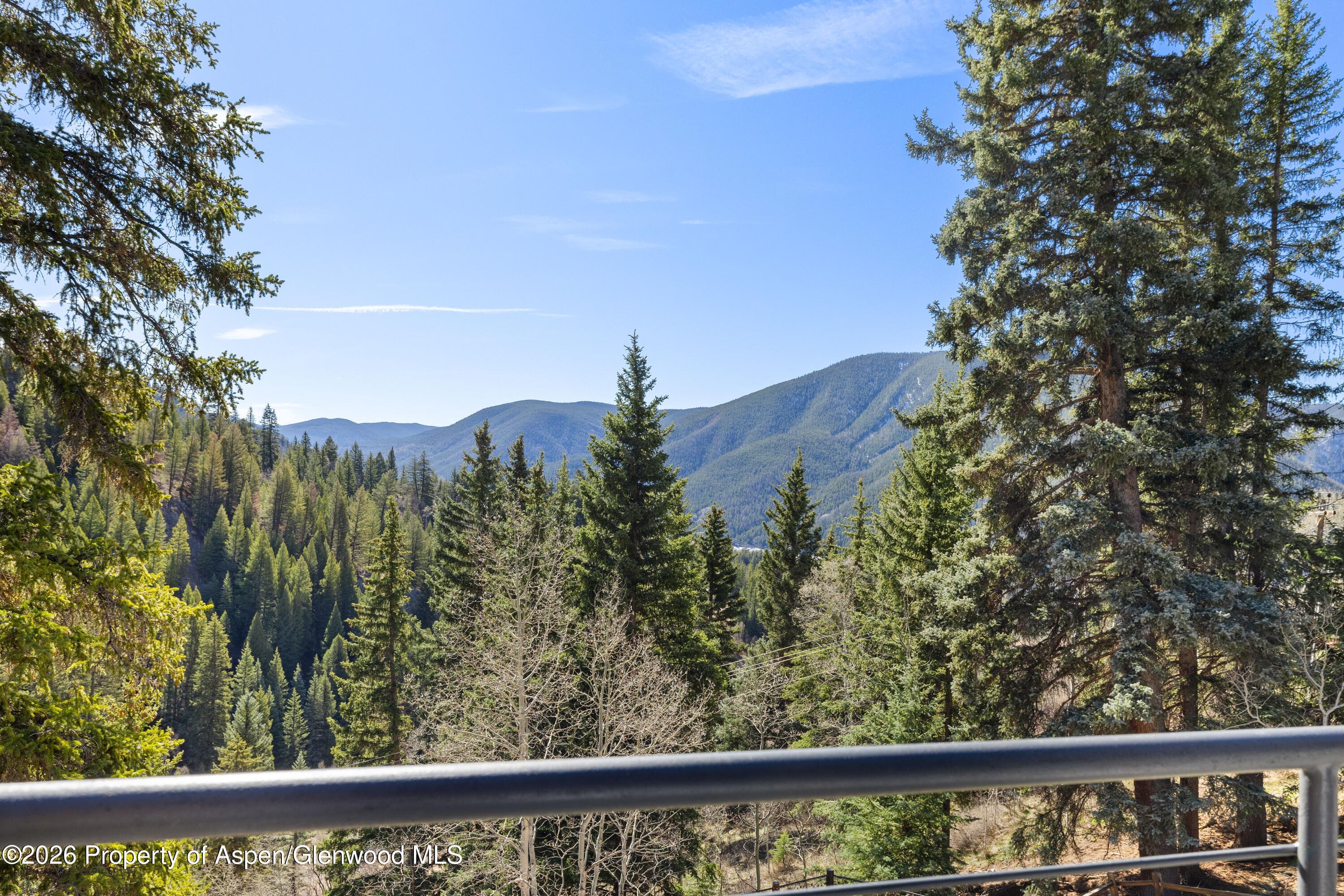 1340 Mclaughlin Lane, Basalt, CO 81621 - Photo 26