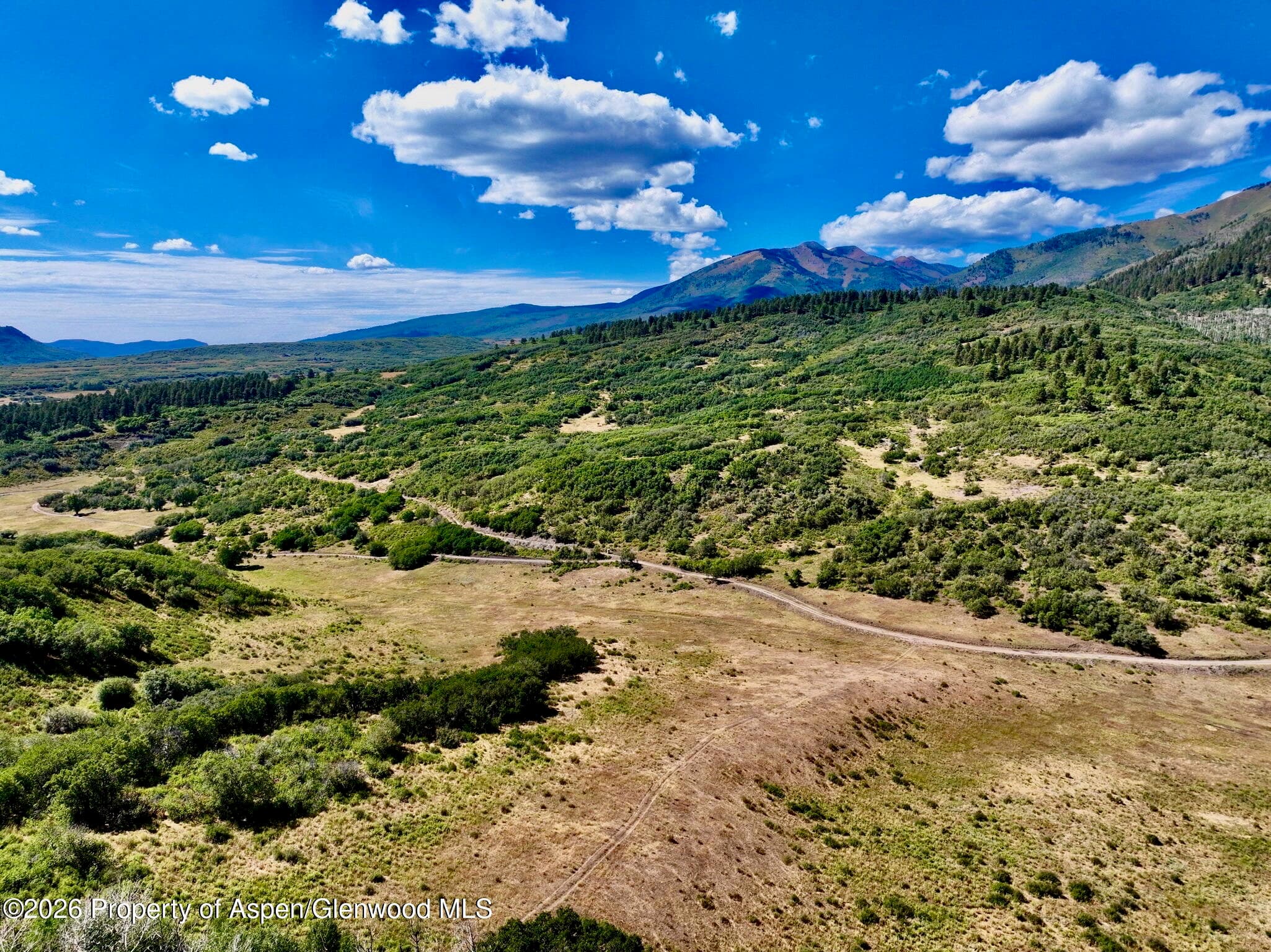 1368 Cr 124, Durango, CO 81301 - Photo 2