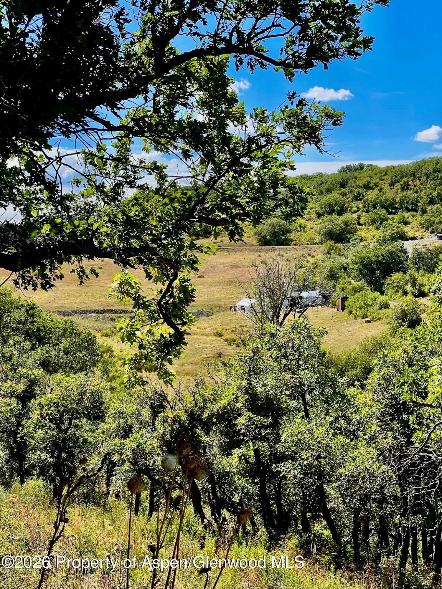 1368 Cr 124, Durango, CO 81301 - Photo 5