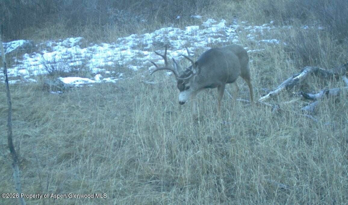910 Slater Way Road Road, Craig, CO 81625 - Photo 30