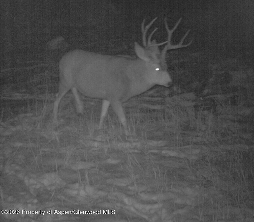 910 Slater Way Road Road, Craig, CO 81625 - Photo 29