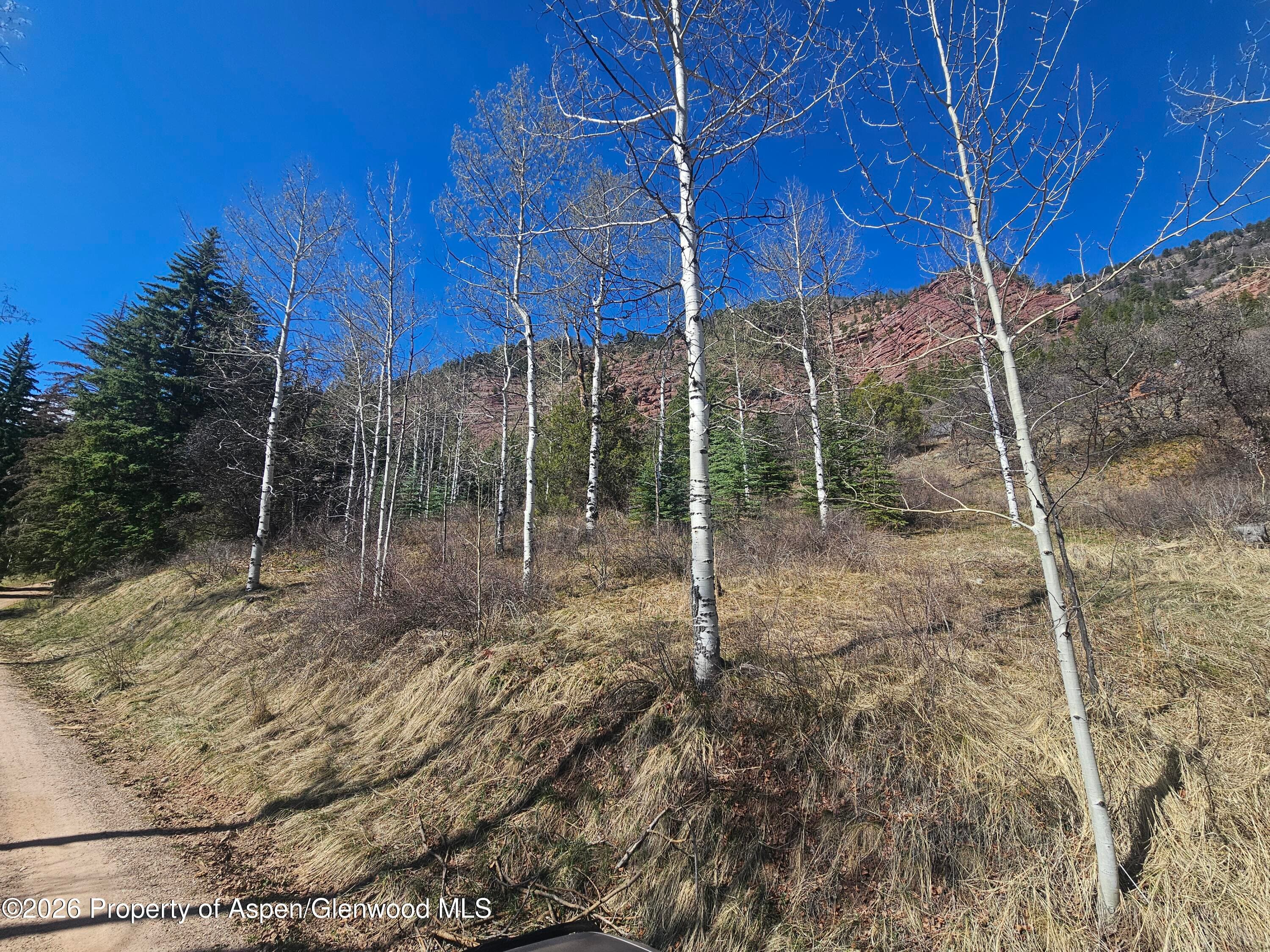 Tbd Bear Creek Lane, Redstone, CO 81623 - Photo 1