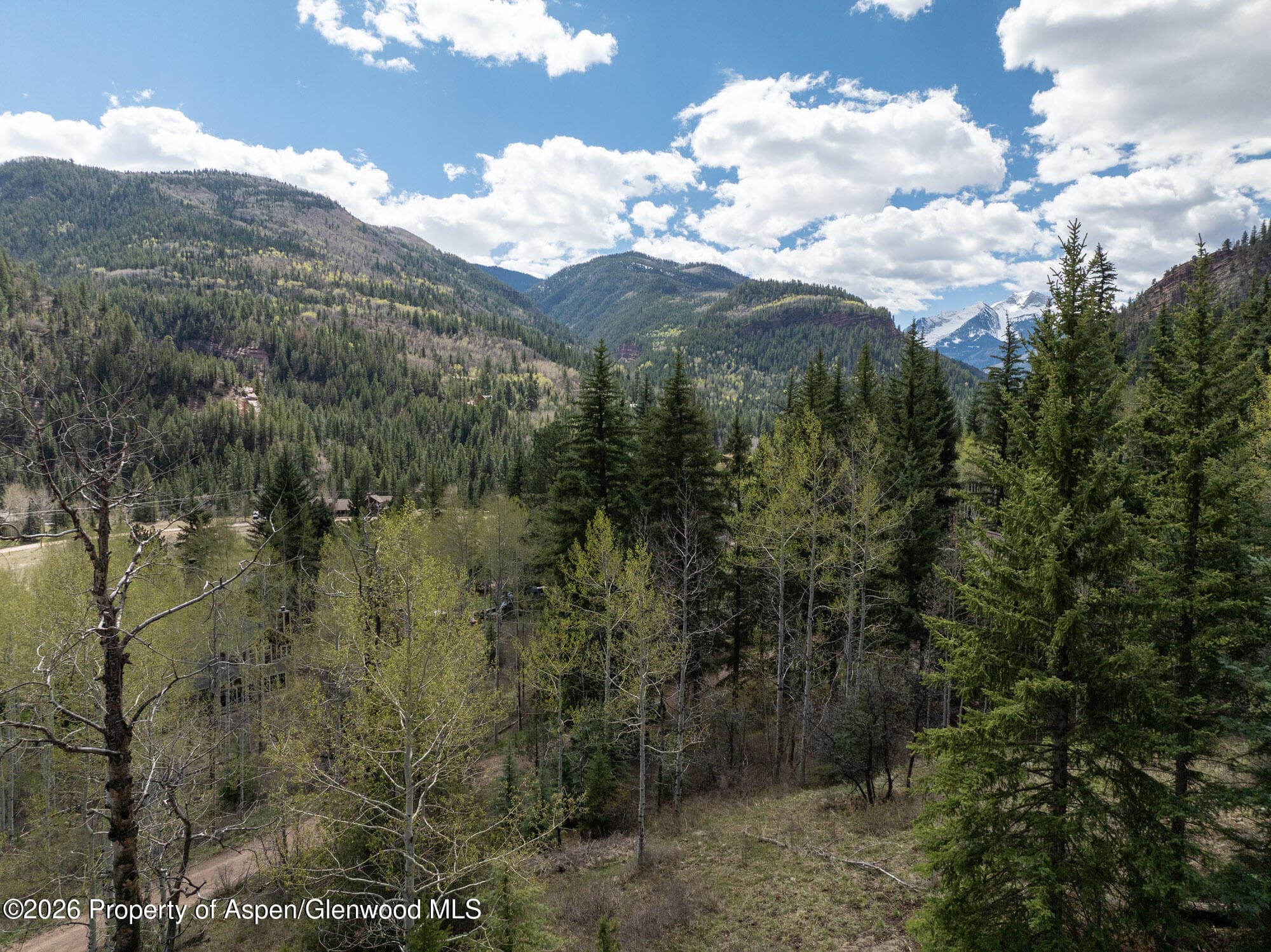 Tbd Bear Creek Lane, Redstone, CO 81623 - Photo 12