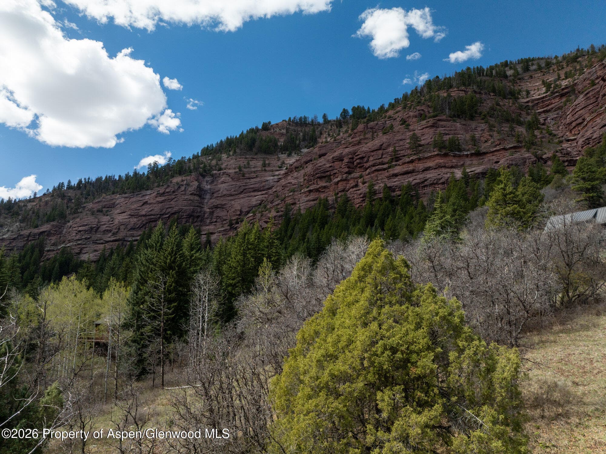 Tbd Bear Creek Lane, Redstone, CO 81623 - Photo 14