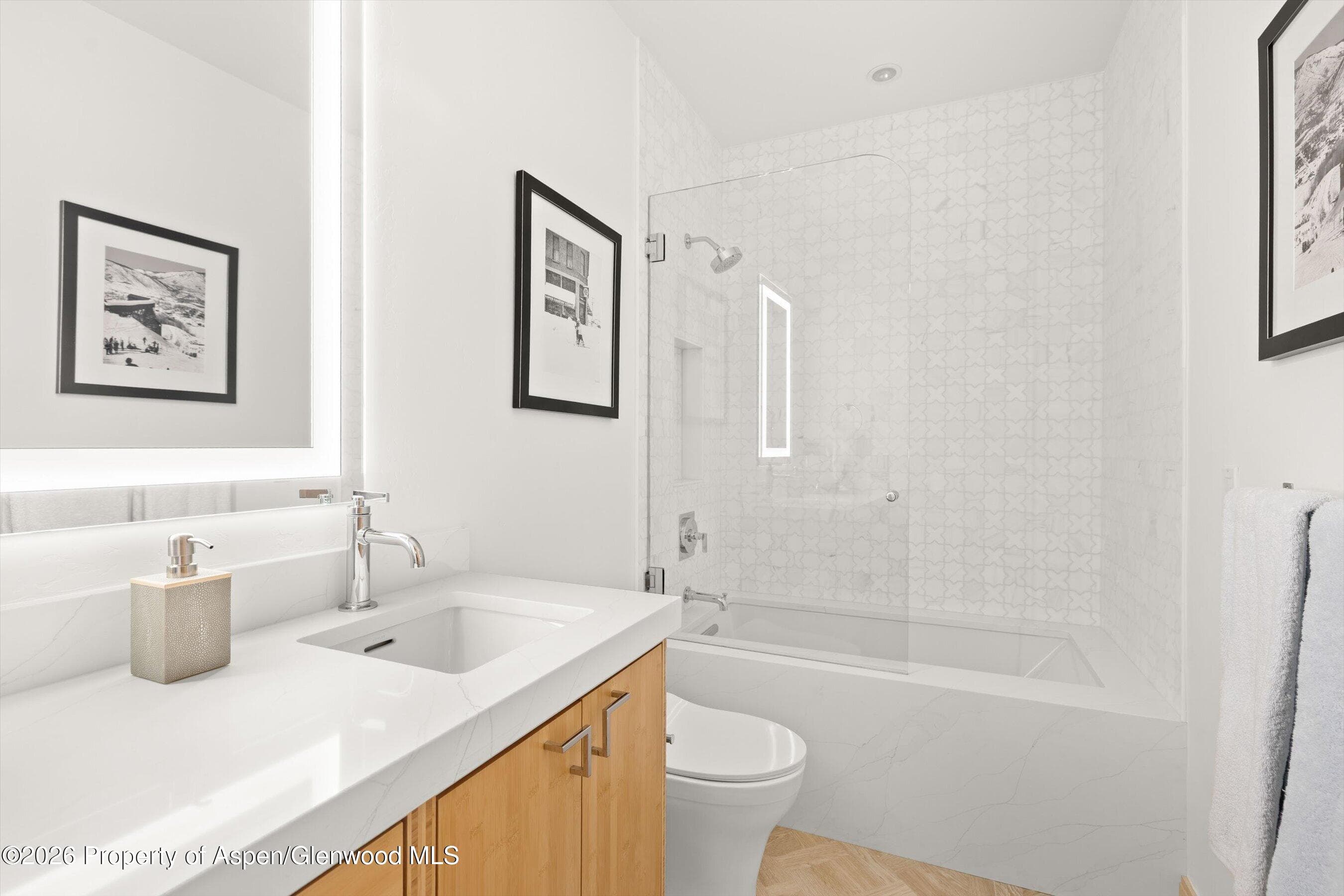 204 N Monarch Street, Aspen, CO 81611 - Photo 18