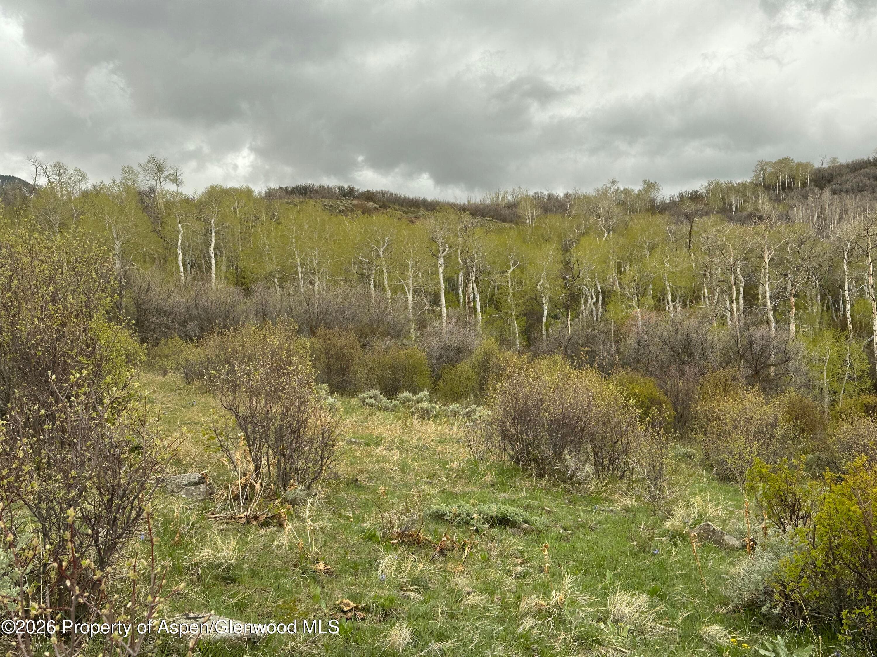 3511 Timberlane Drive, Craig, CO 81625