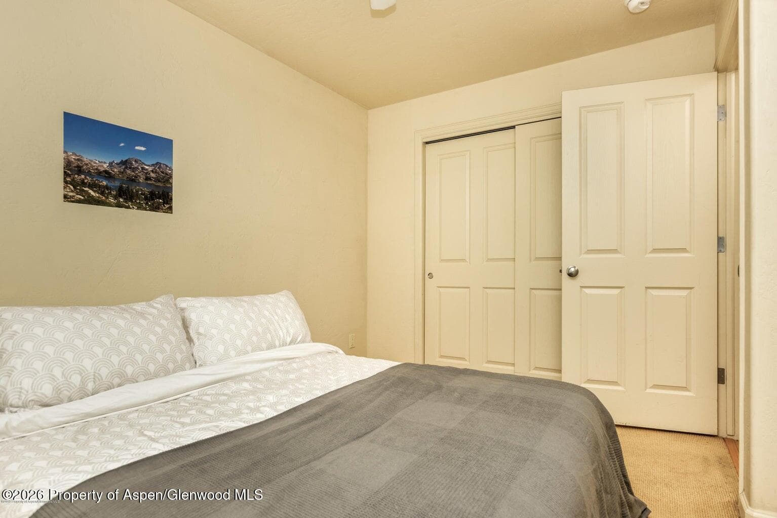 604 Lakeside Drive, Basalt, CO 81621 - Photo 9