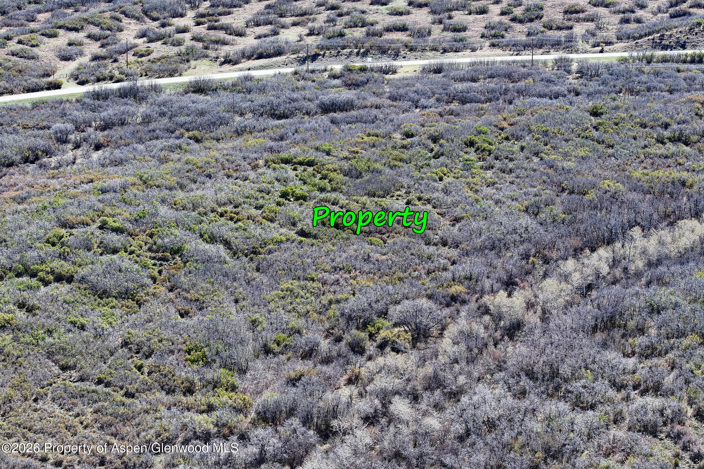 5962 Colorado 65, Mesa, CO 81643 - Photo 5