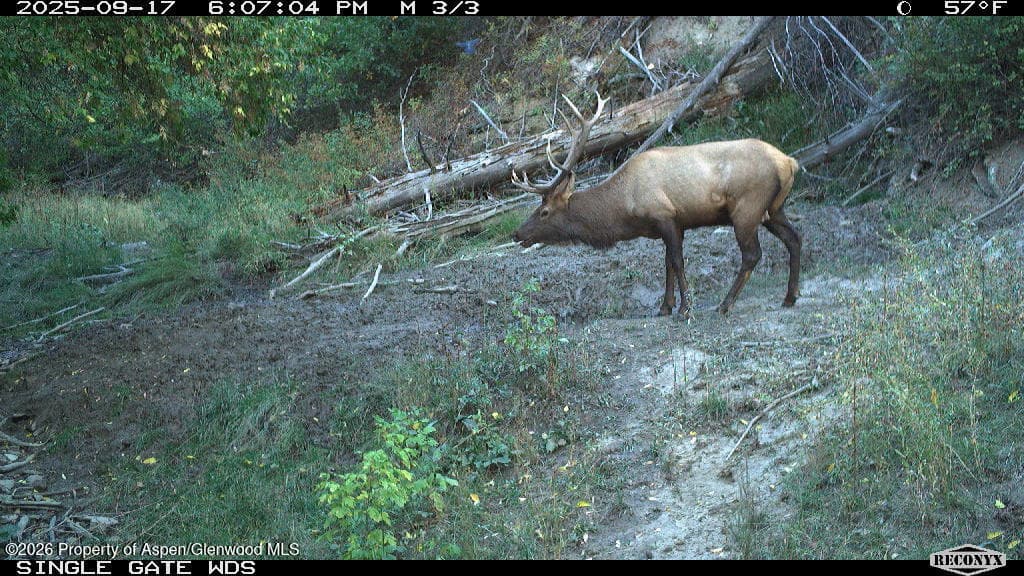 Tbd Highway 13, Rifle, CO 81650 - Photo 9