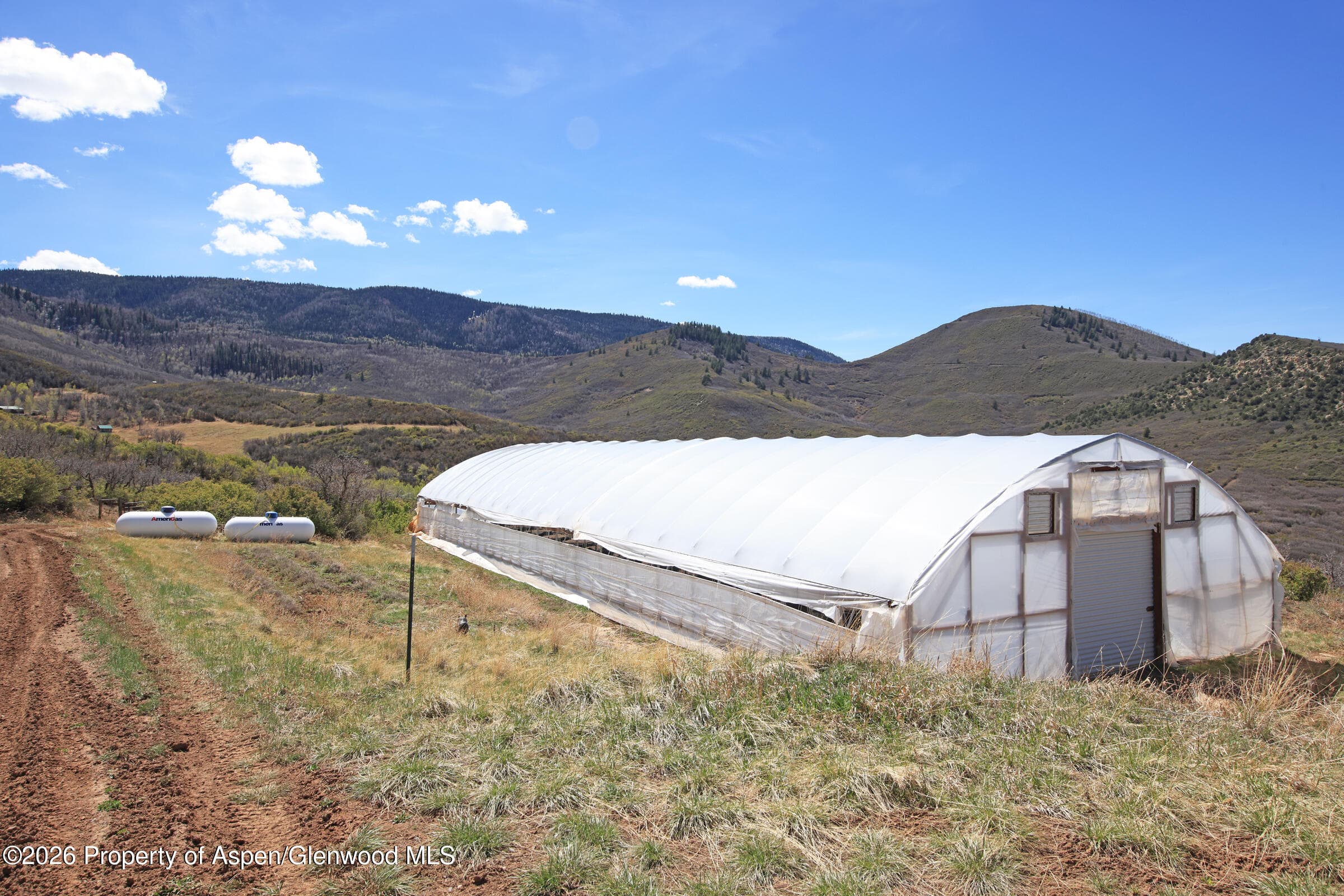 10822 60 3/4 Road, Collbran, CO 81624 - Photo 35