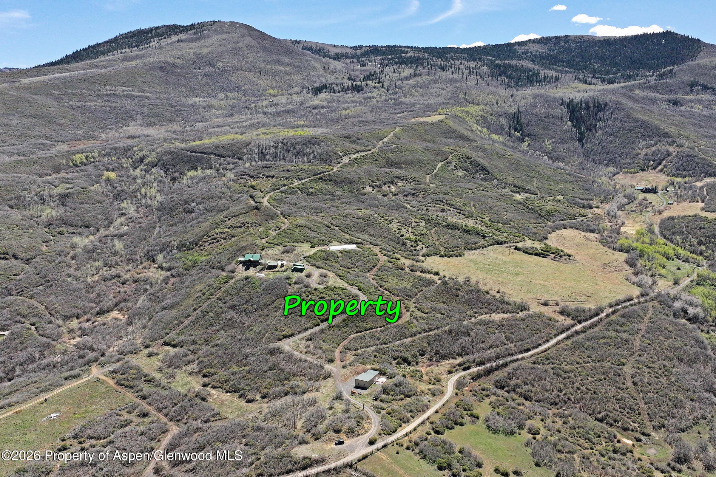 10822 60 3/4 Road, Collbran, CO 81624 - Photo 37