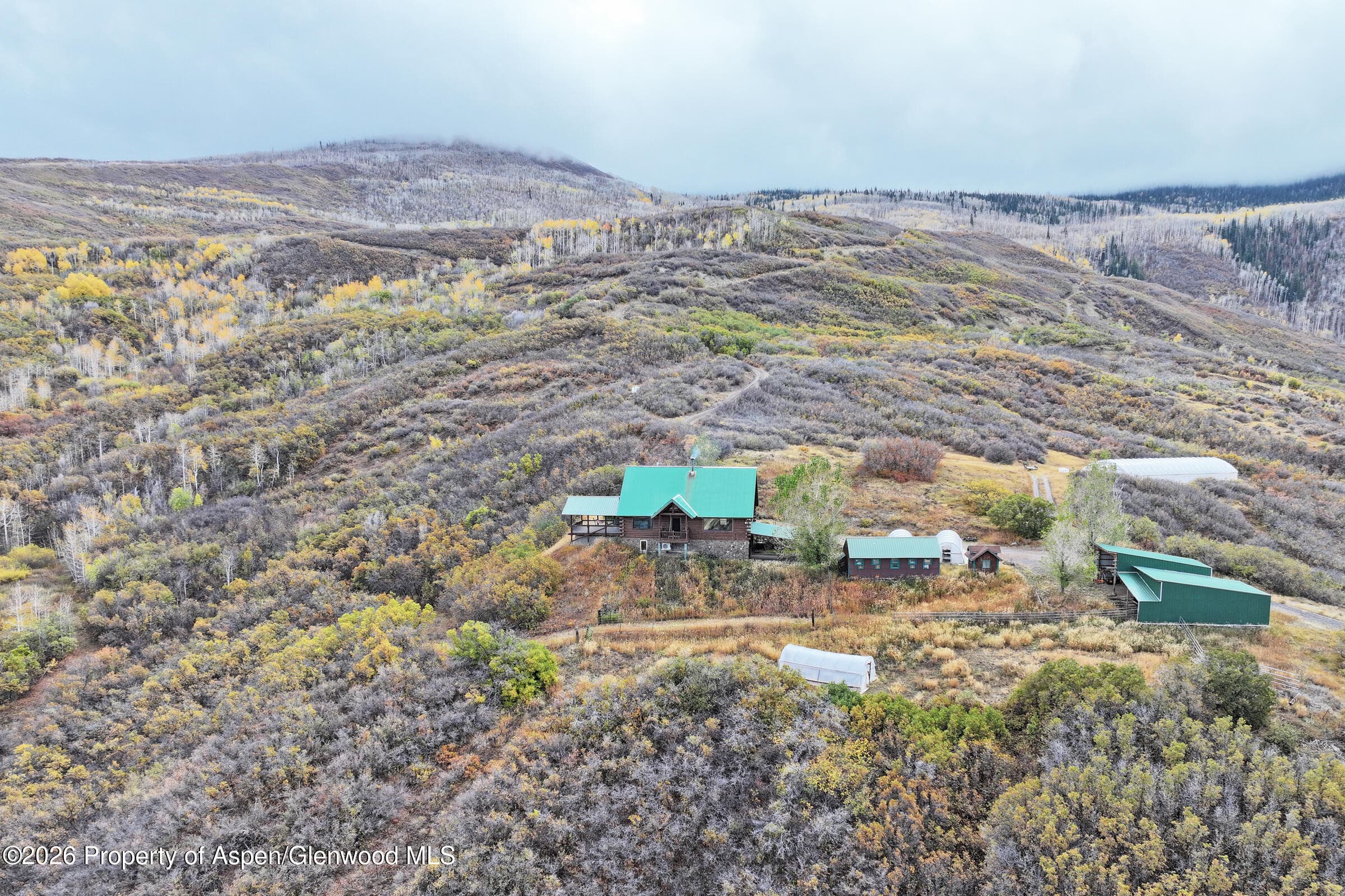 10822 60 3/4 Road, Collbran, CO 81624 - Photo 38