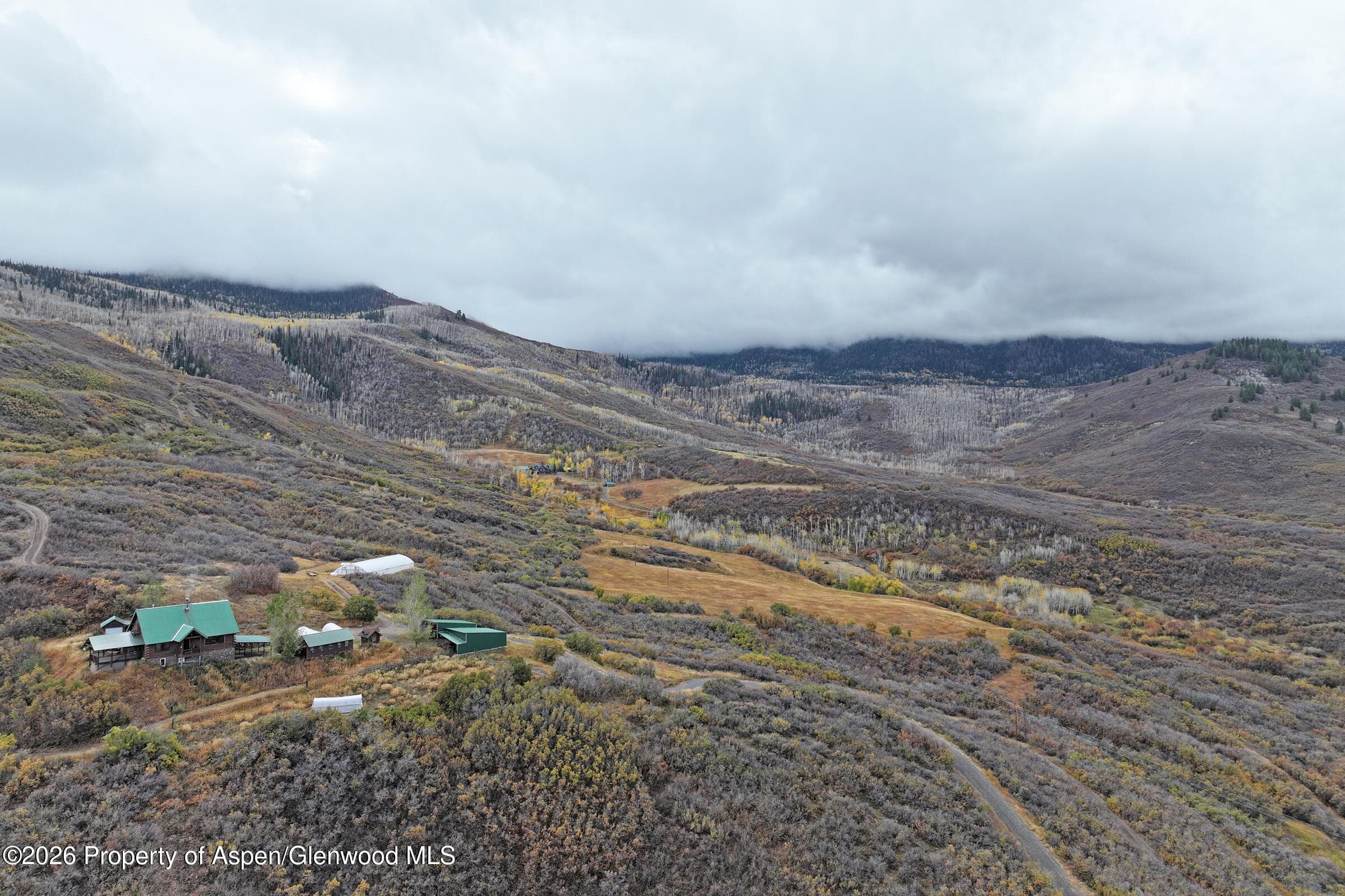 10822 60 3/4 Road, Collbran, CO 81624 - Photo 43