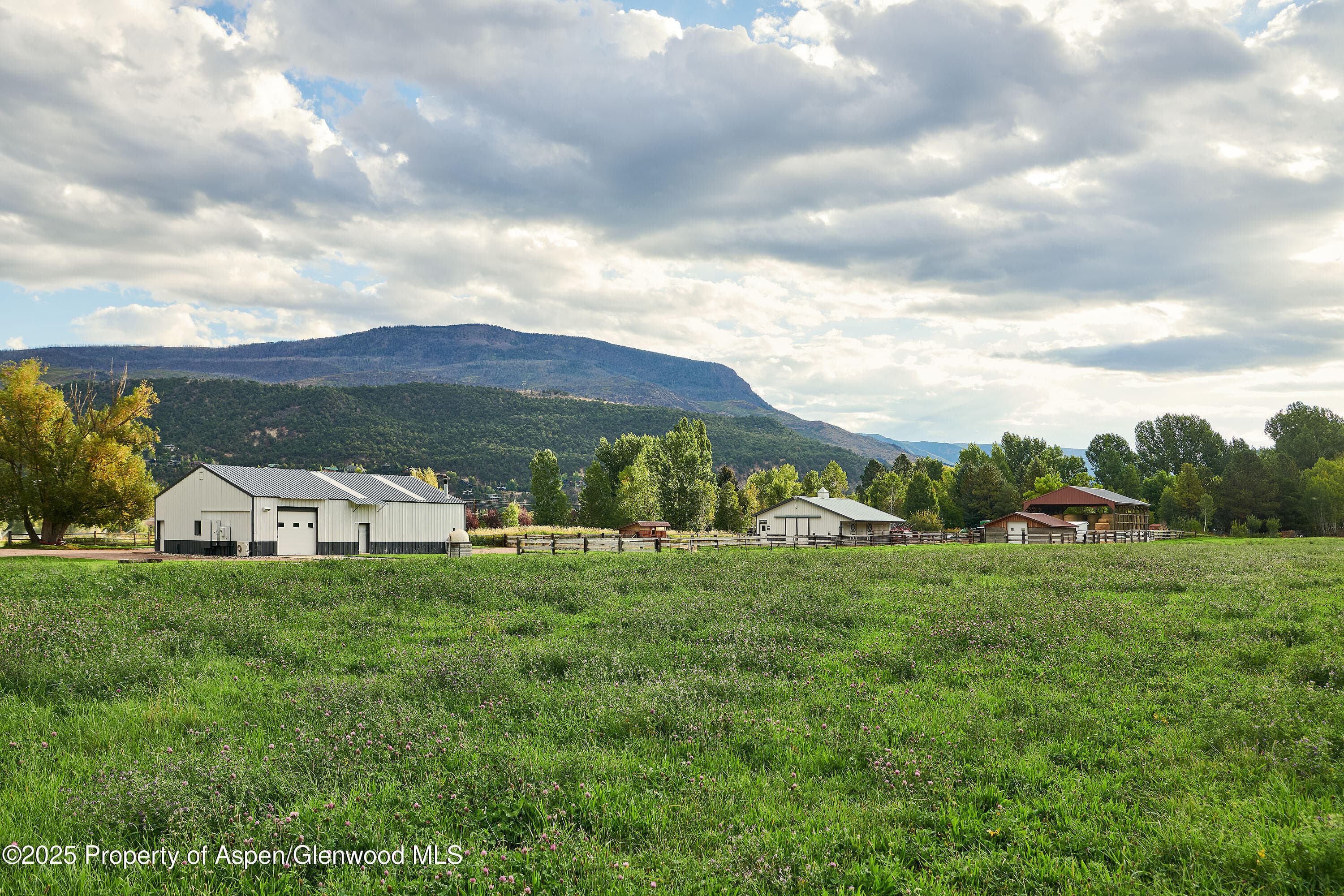 2700 Emma Road, Basalt, CO 81621 - Photo 20