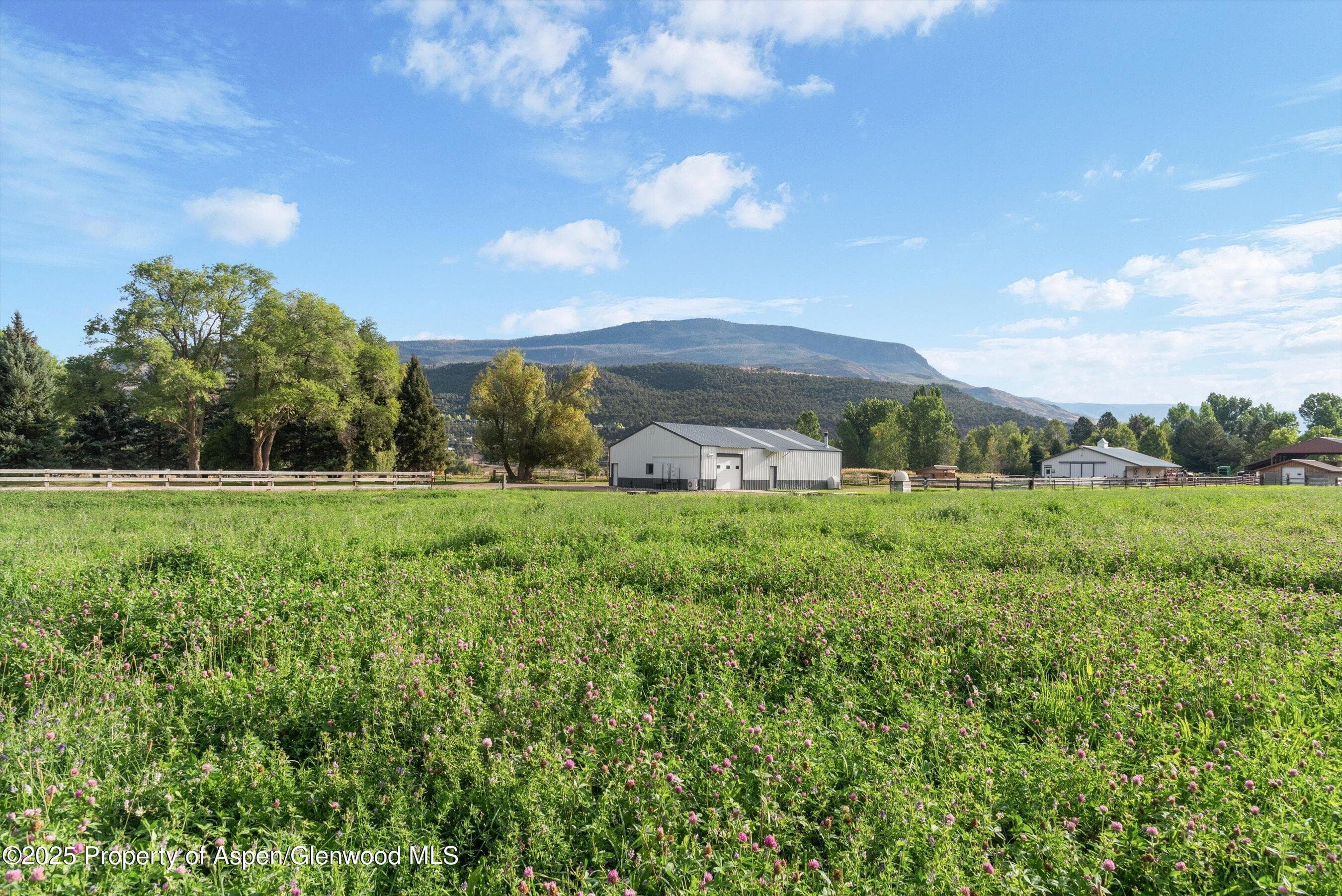 2700 Emma Road, Basalt, CO 81621 - Photo 21