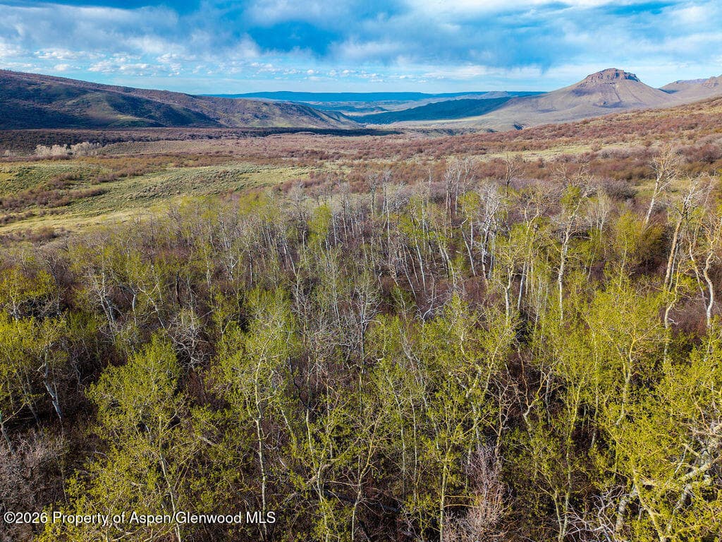 910 Slater Way Road Road, Craig, CO 81625 - Photo 5