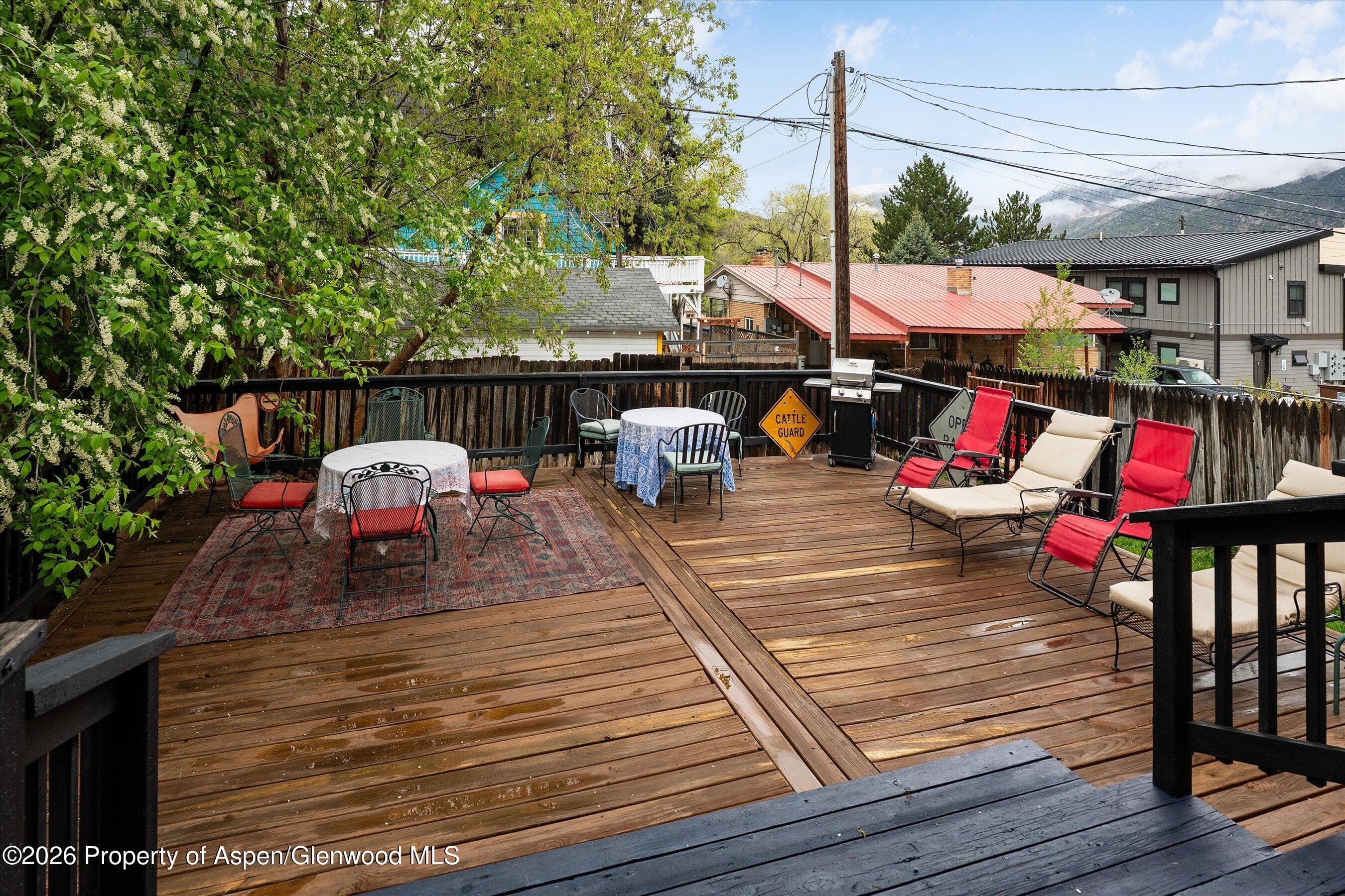 1017 Cooper Avenue, Glenwood Springs, CO 81601 - Photo 19