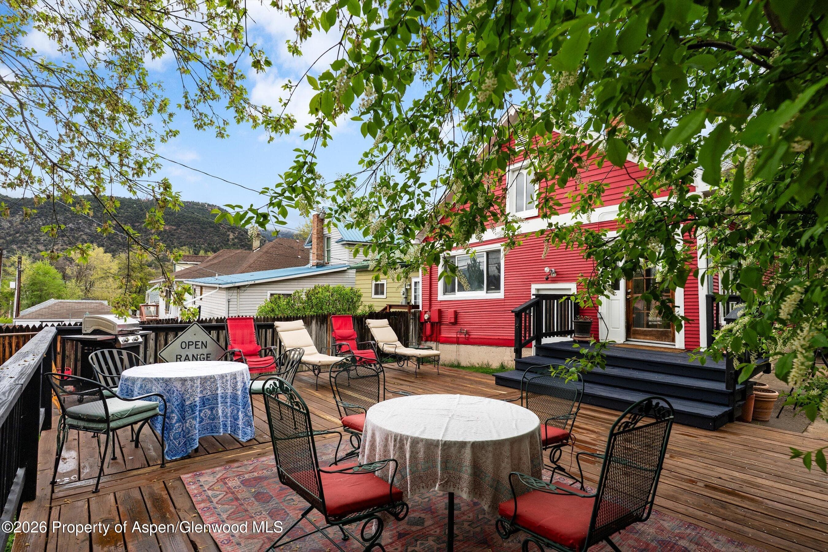 1017 Cooper Avenue, Glenwood Springs, CO 81601 - Photo 22