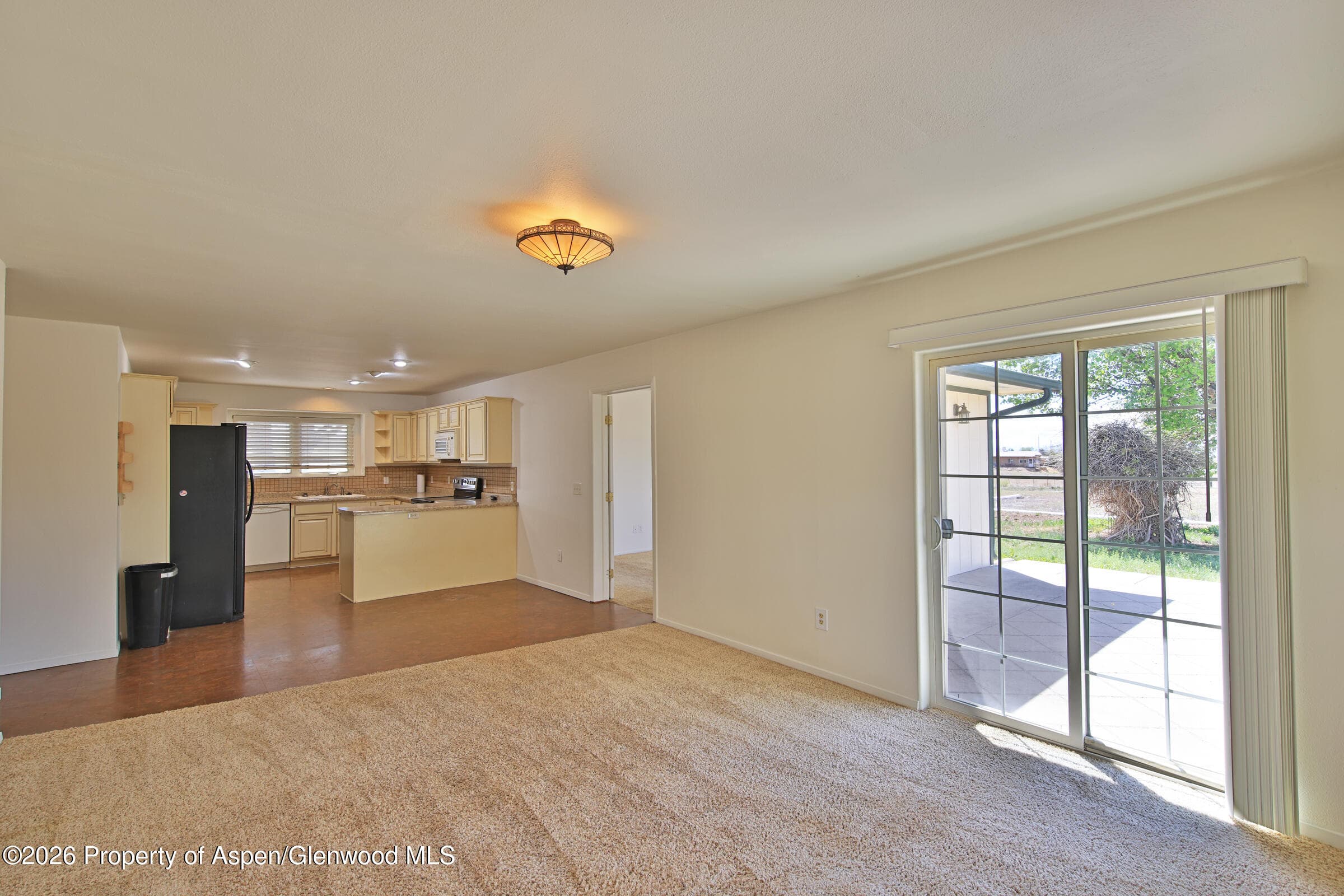 13637 Happy Hollow Road, Eckert, CO 81418 - Photo 11