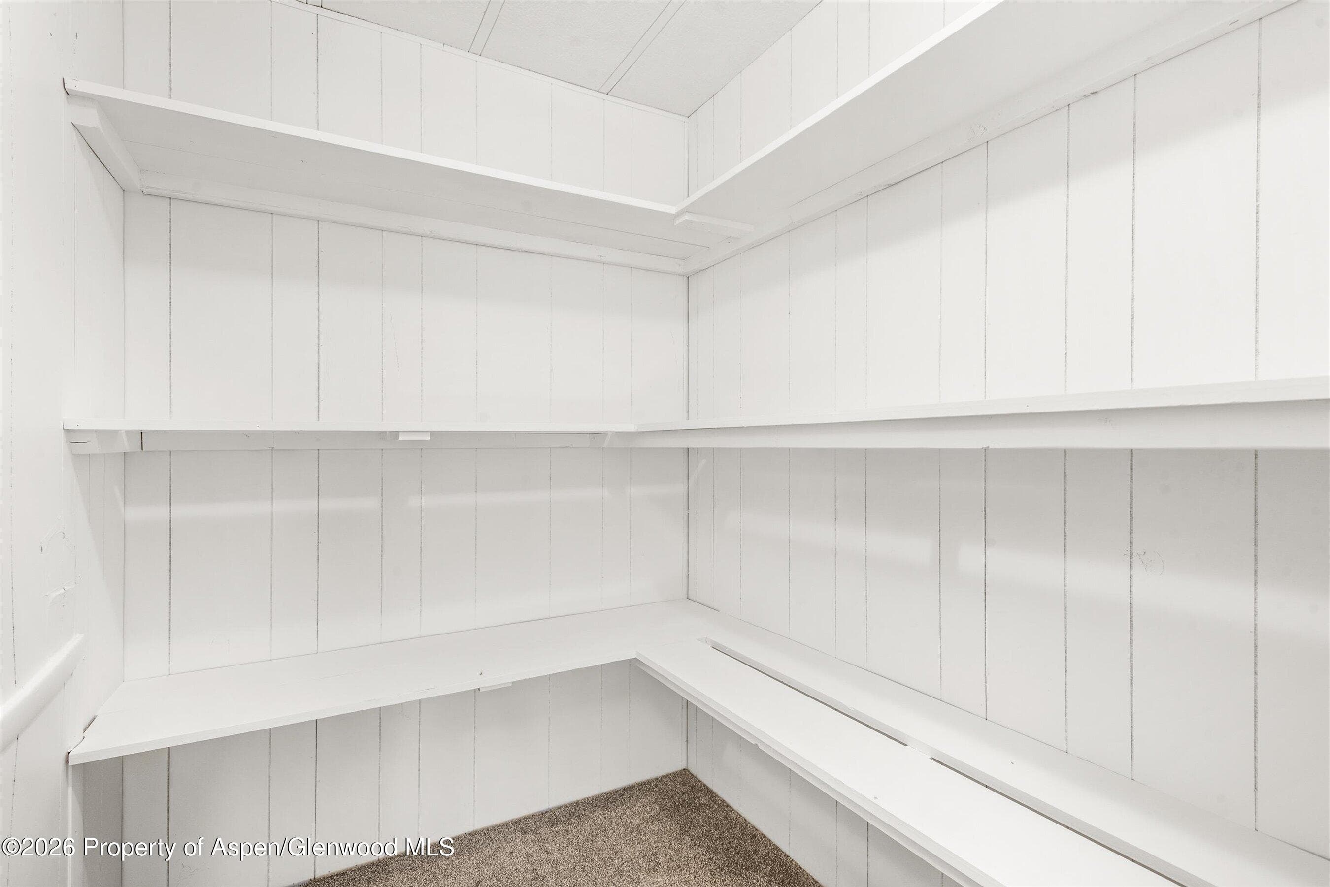 219 Cottonwood Lane, Aspen, CO 81611 - Photo 12