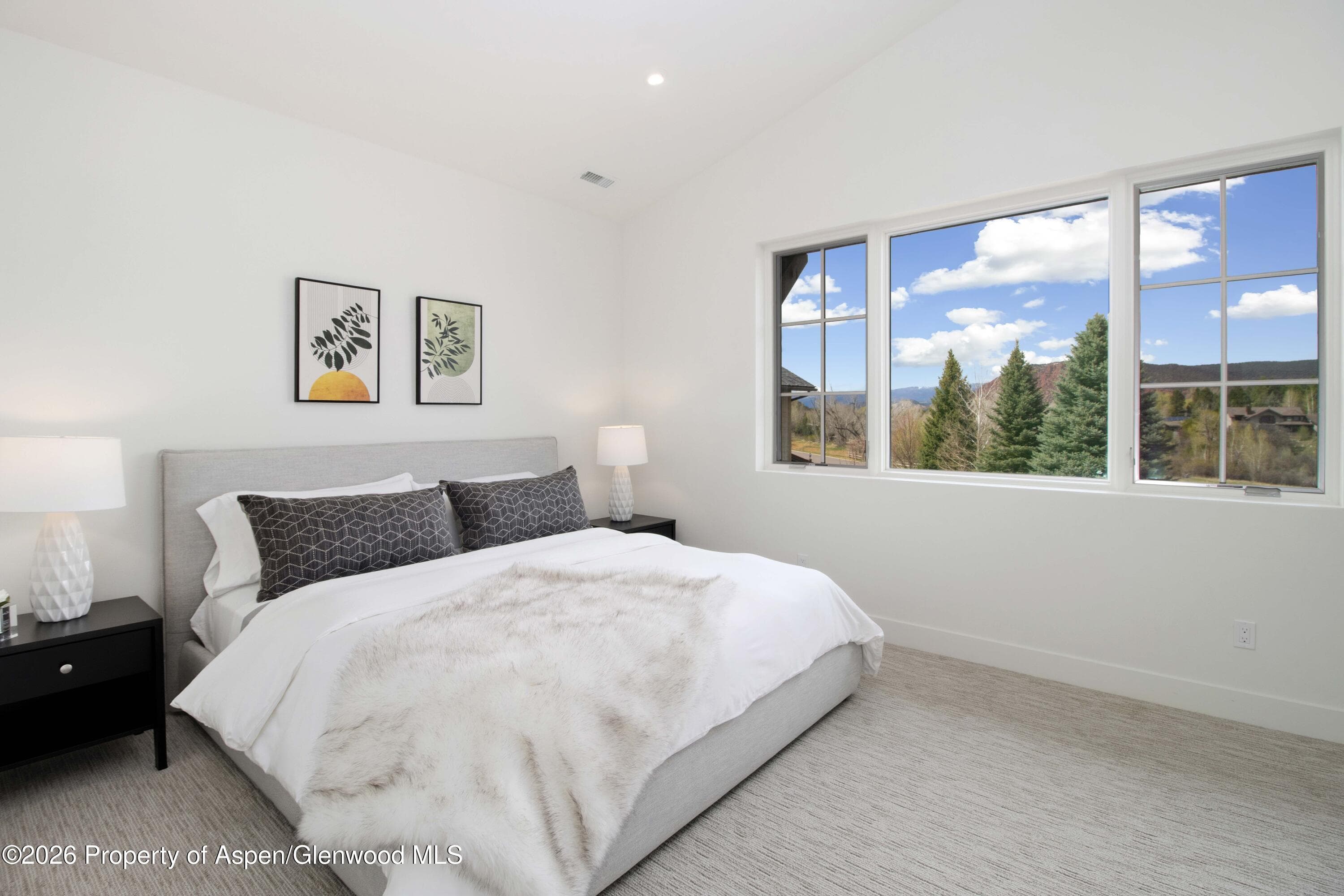 3600 Crystal Bridge Drive, Carbondale, CO 81623 - Photo 14