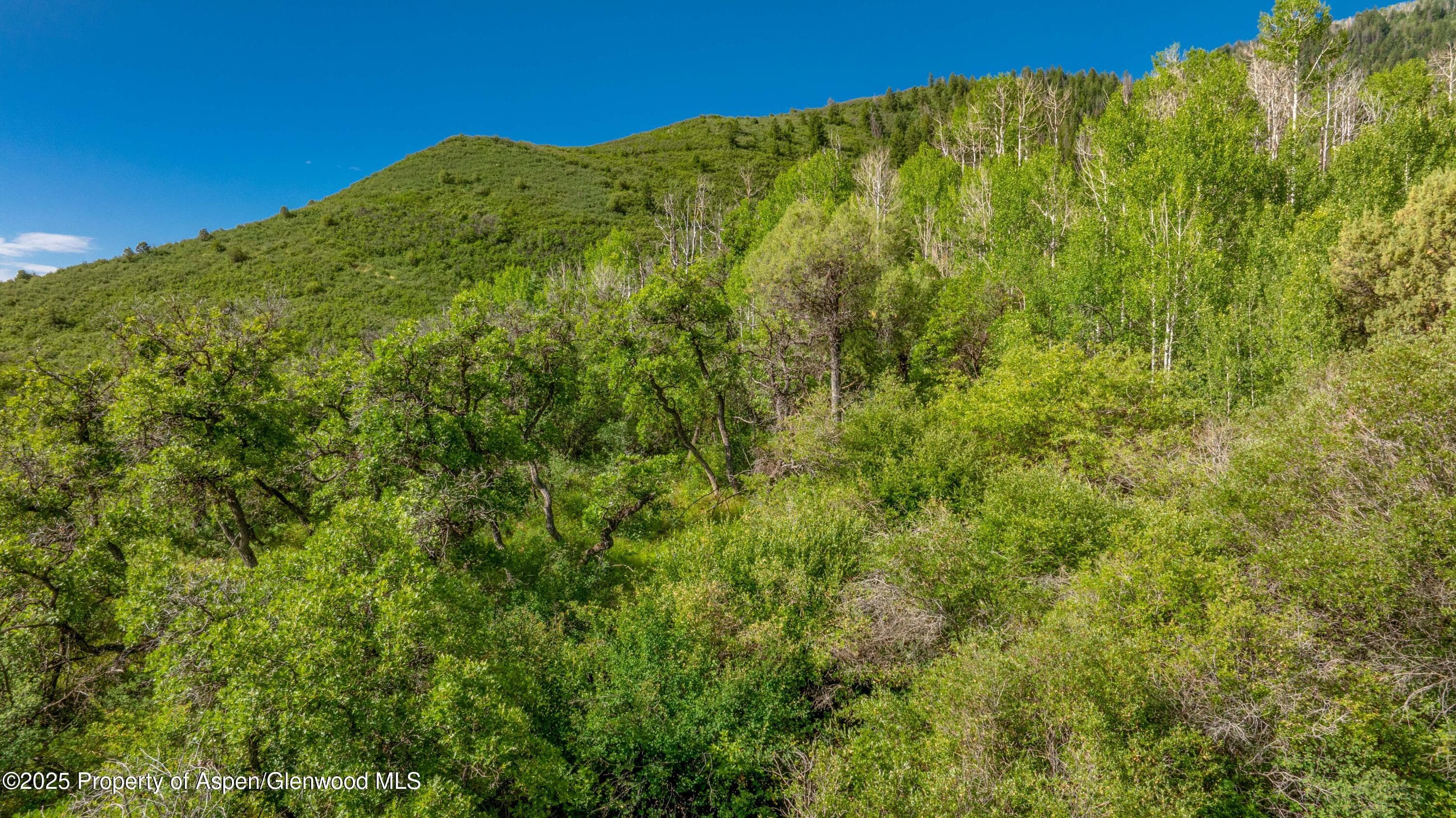 Tbd Co Rd 126, Glenwood Springs, CO 81601 - Photo 9