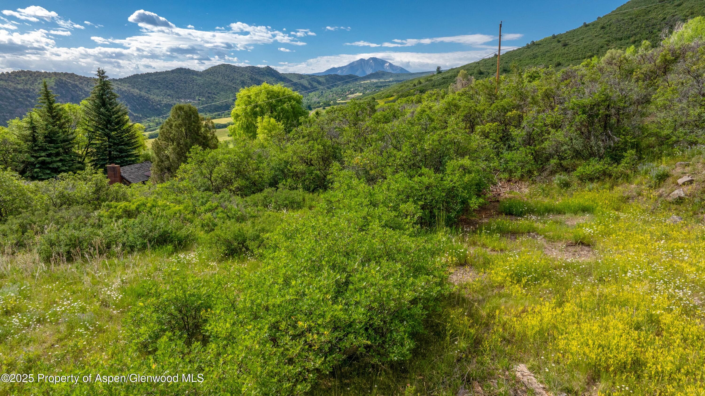Tbd Co Rd 126, Glenwood Springs, CO 81601 - Photo 11
