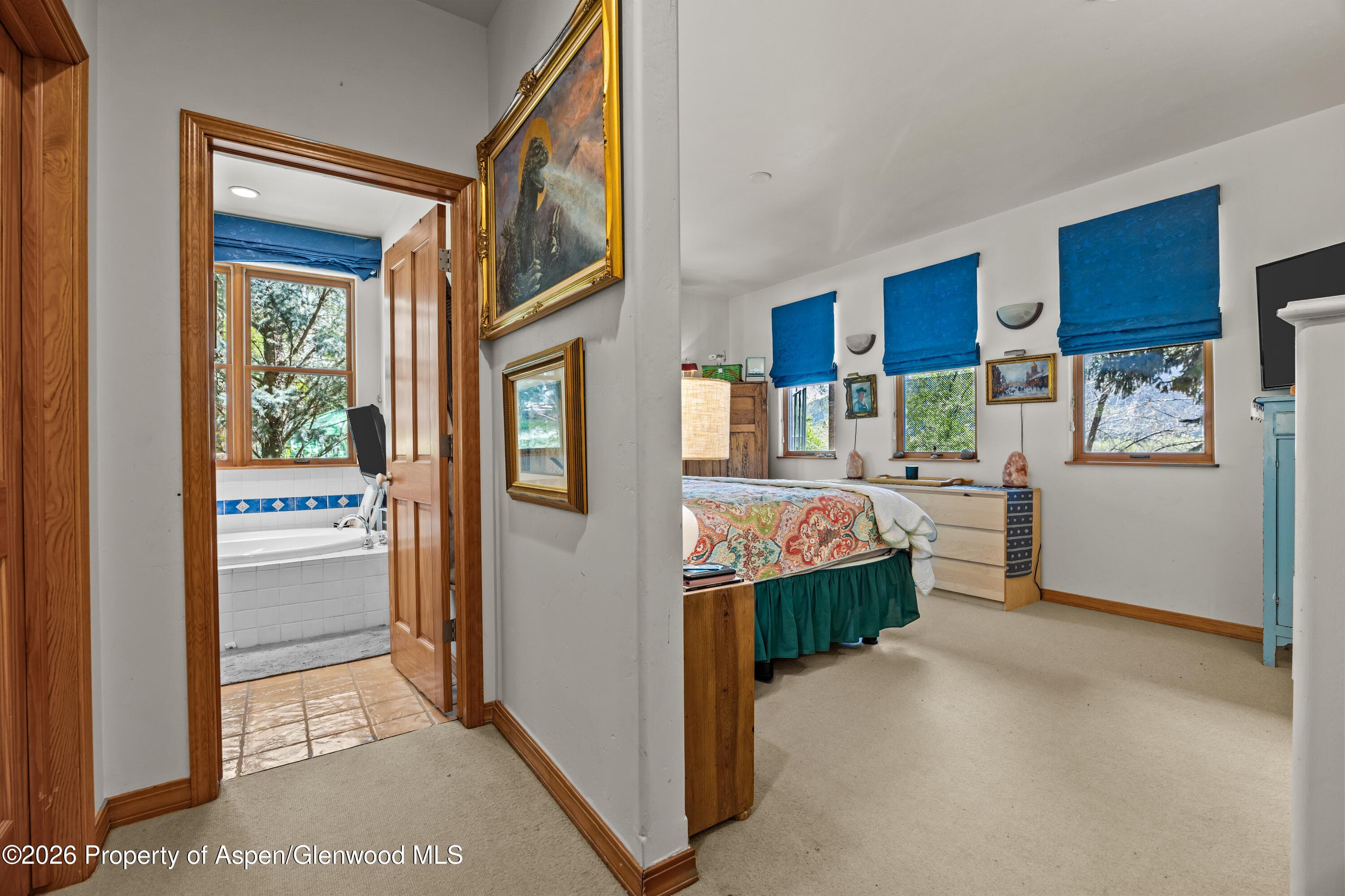 307 E Sopris Drive, Basalt, CO 81621 - Photo 15