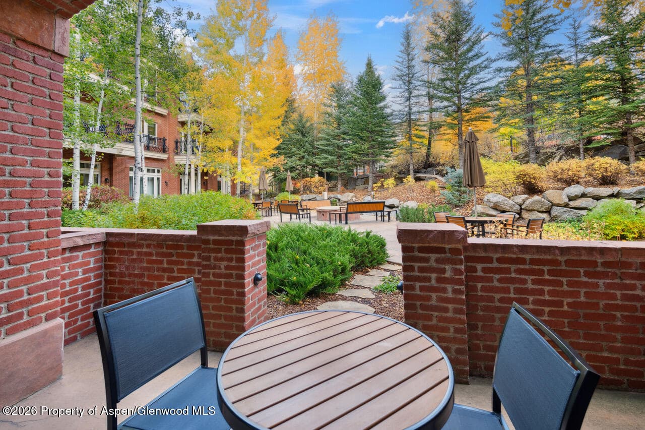 415 E Dean St, Unit 5, Weeks 9 & 10, Aspen, CO 81611 - Photo 24