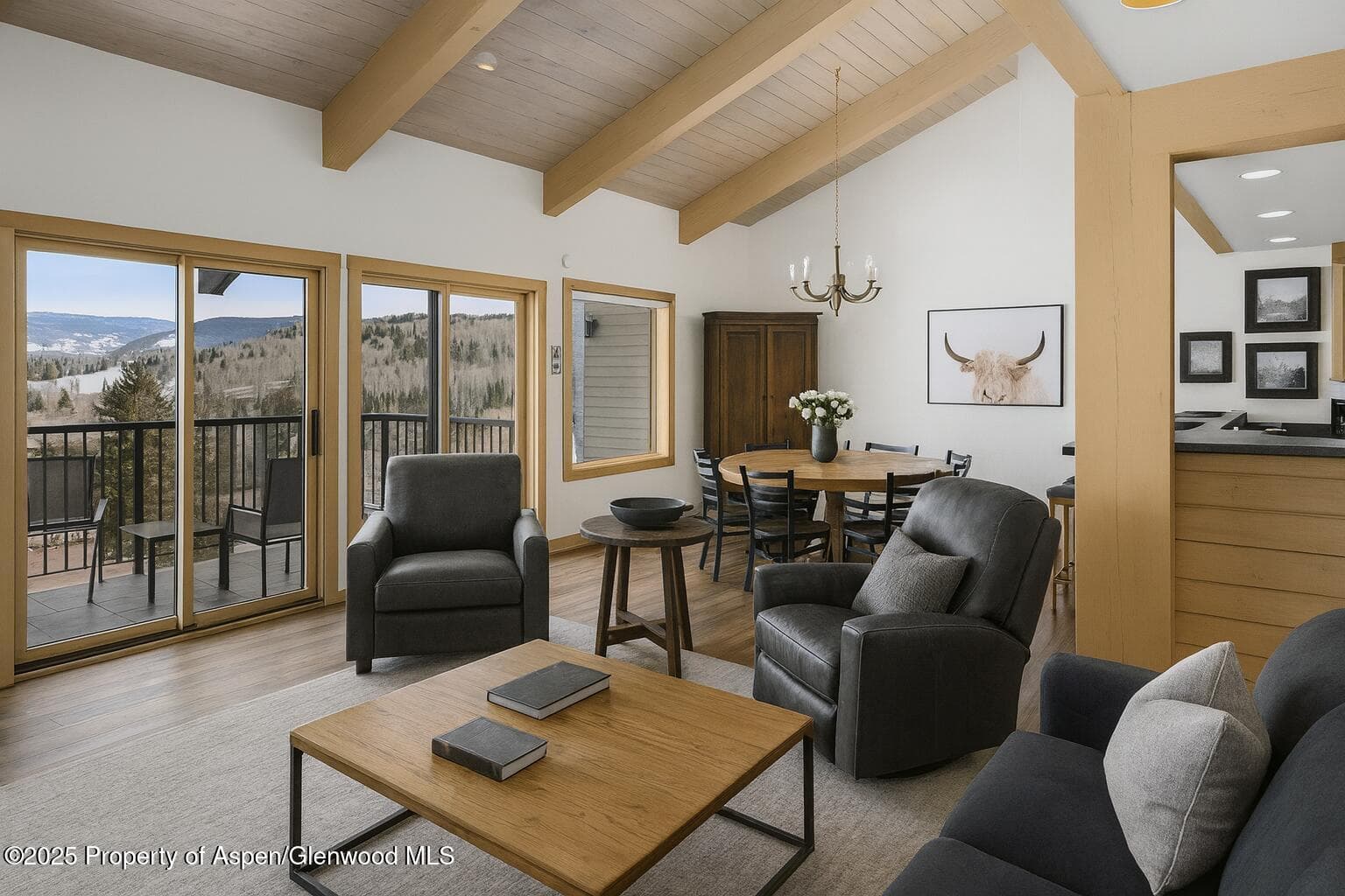 55 Upper Woodbridge Road H-5, Snowmass Village, CO 81615 - Photo 11