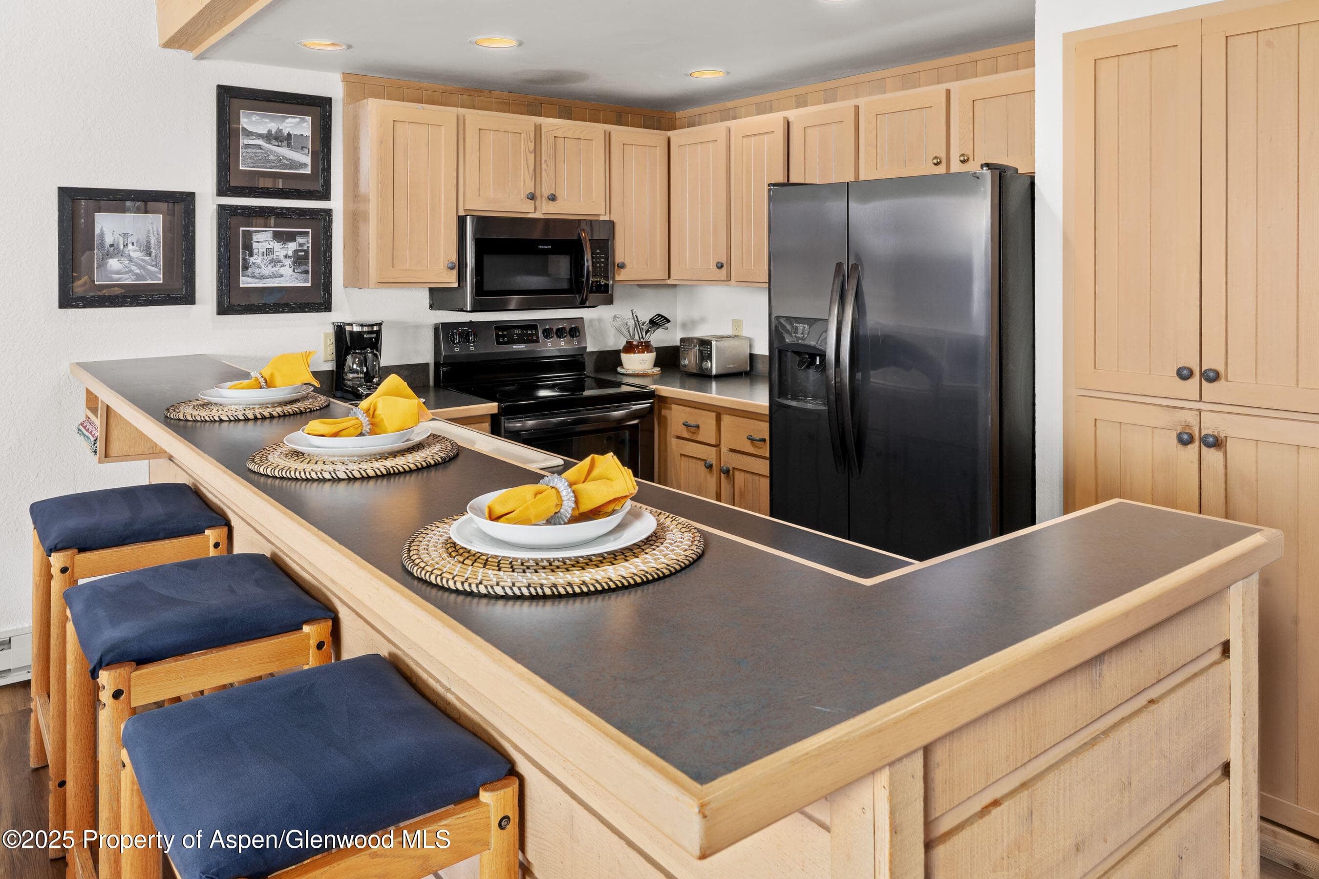 55 Upper Woodbridge Road H-5, Snowmass Village, CO 81615 - Photo 12