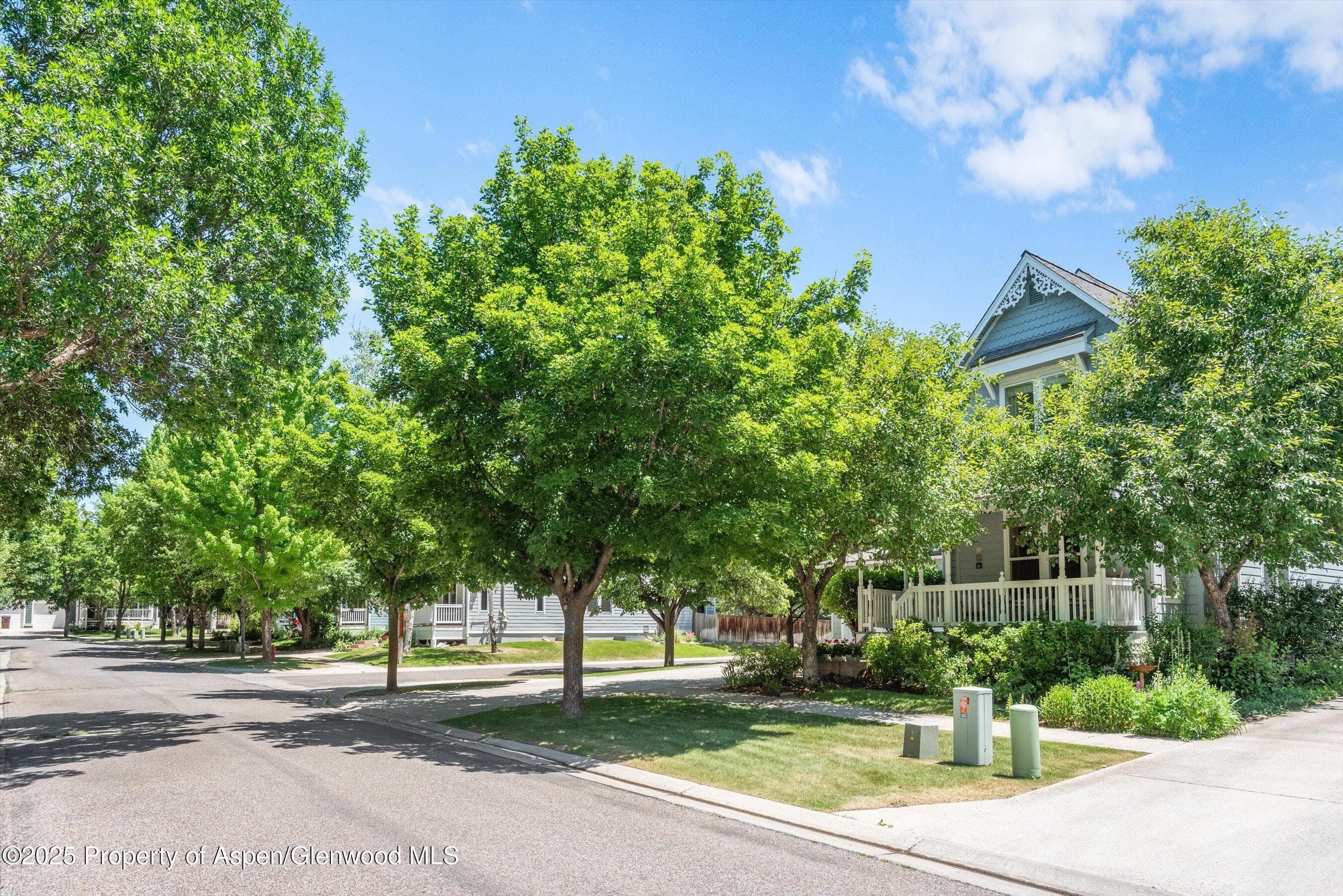 54 Ferguson Drive, Carbondale, CO 81623 - Photo 41