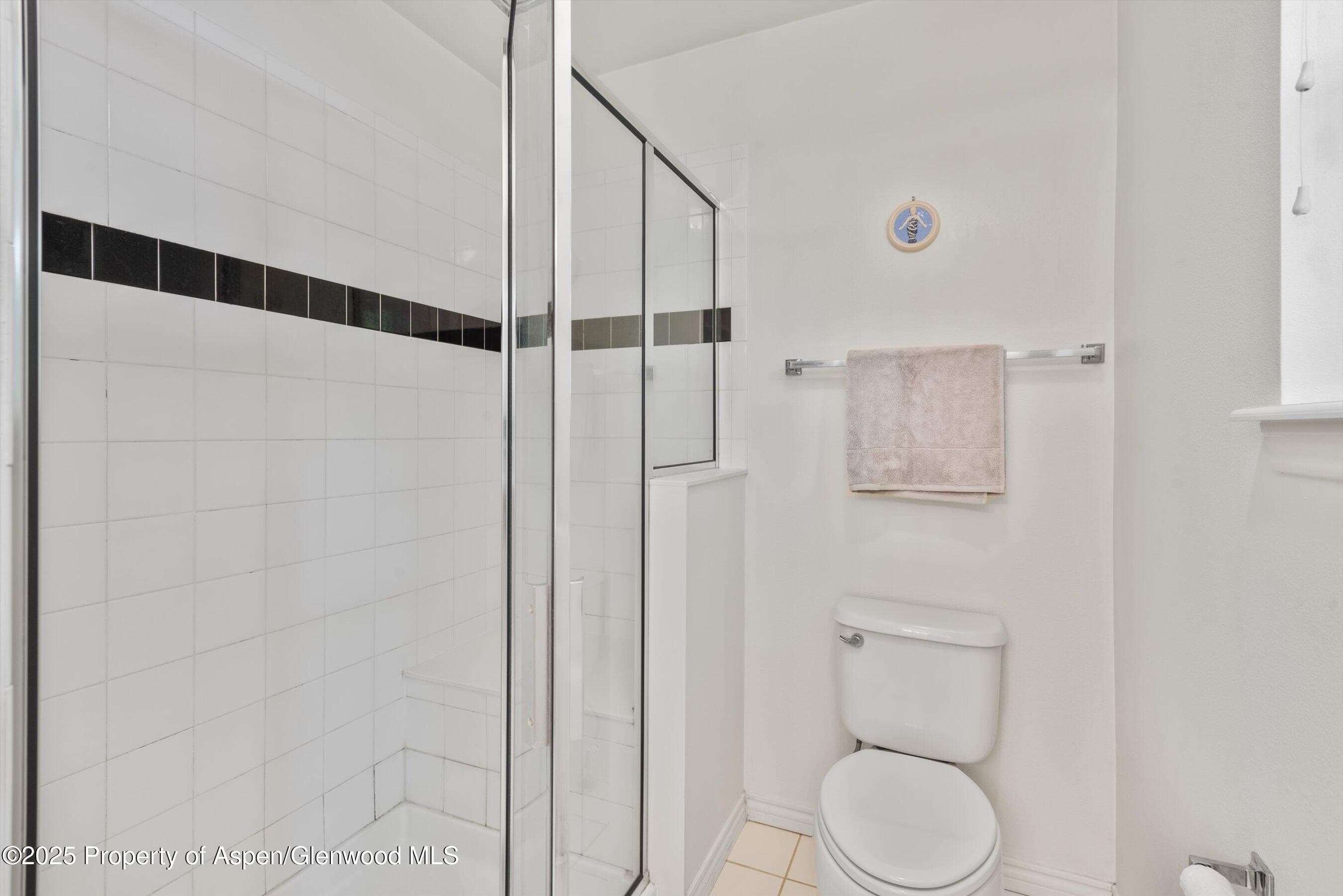 54 Ferguson Drive, Carbondale, CO 81623 - Photo 24