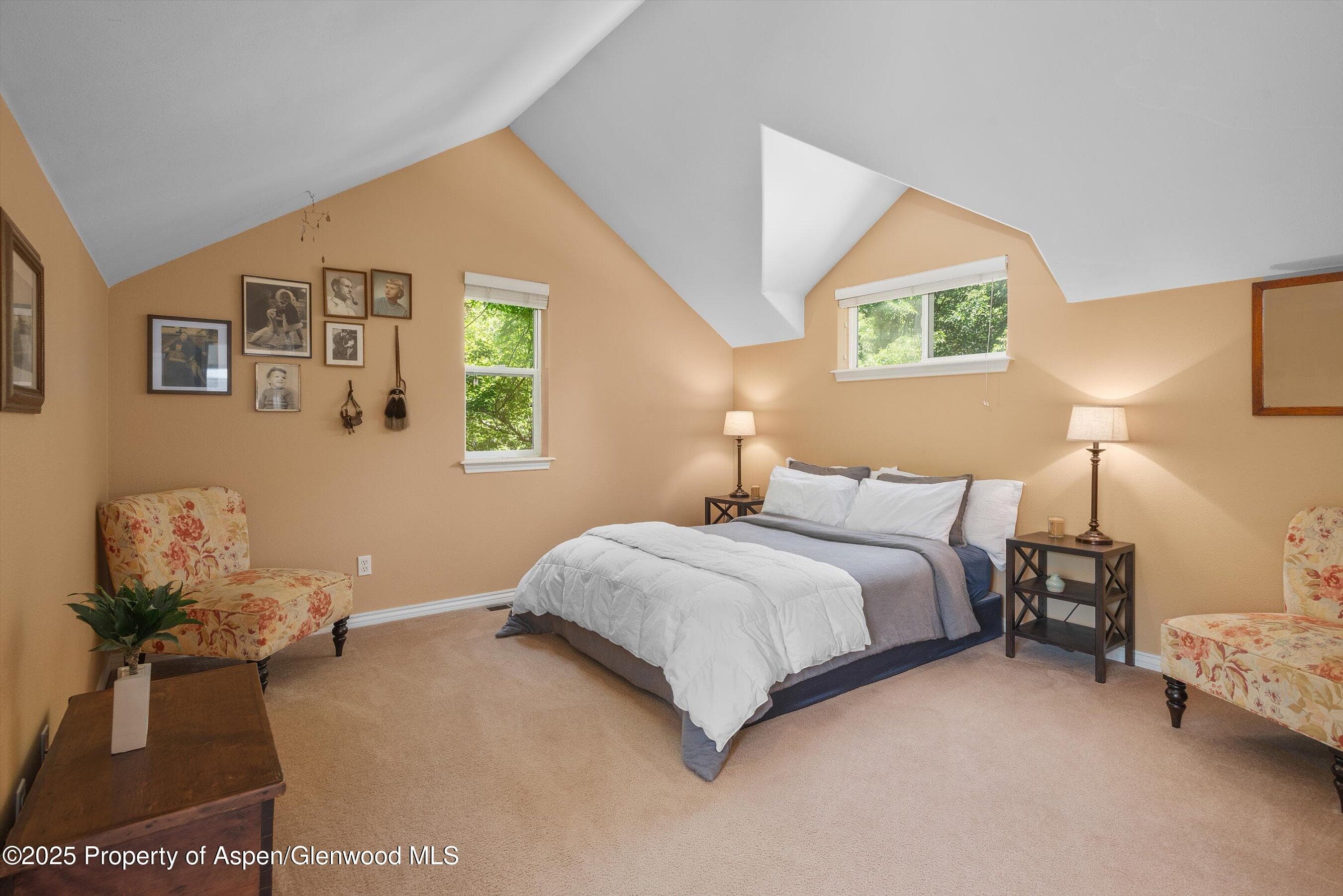 54 Ferguson Drive, Carbondale, CO 81623 - Photo 31