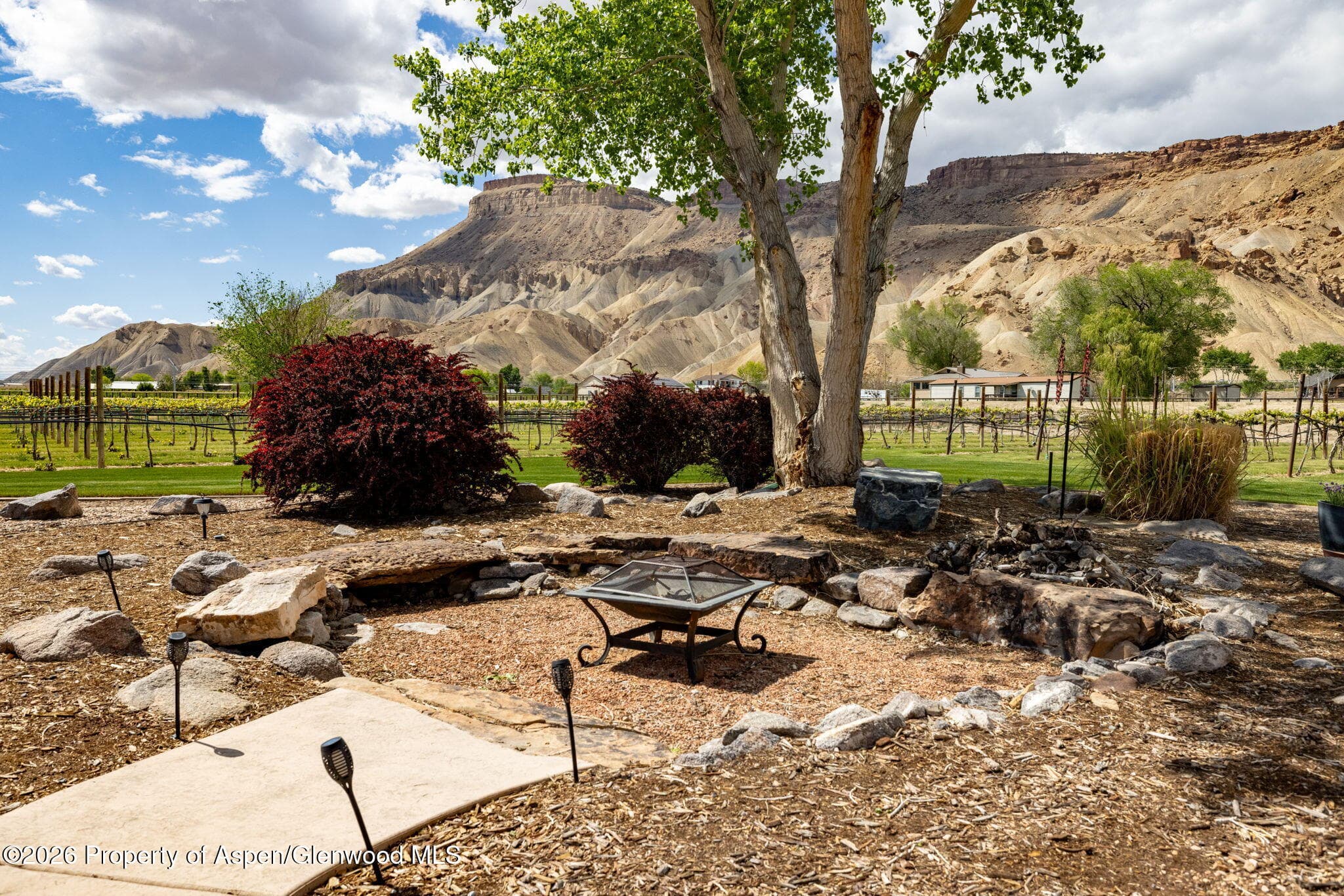 759 36 3/10 Road, Palisade, CO 81526 - Photo 28