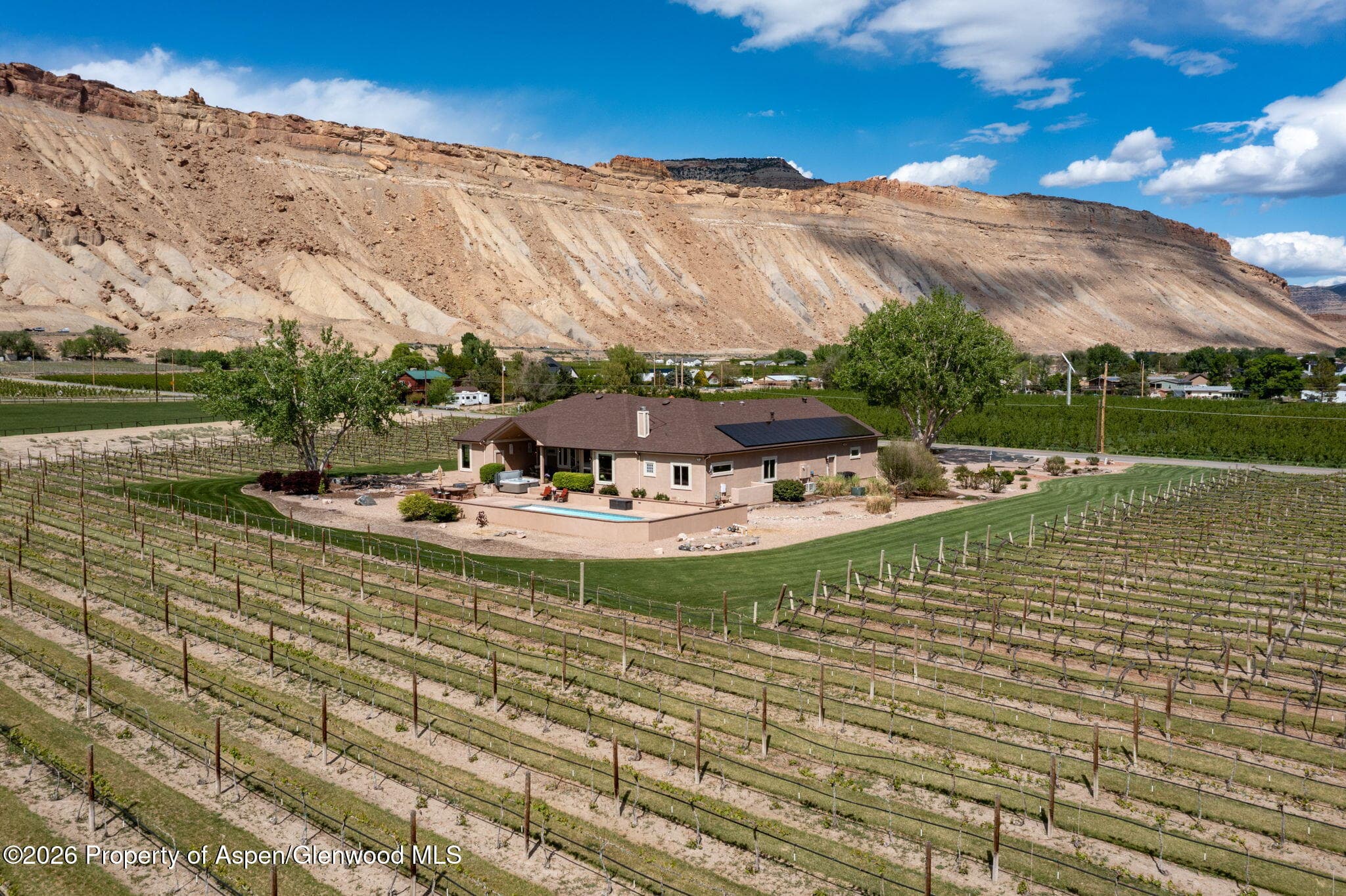 759 36 3/10 Road, Palisade, CO 81526 - Photo 7