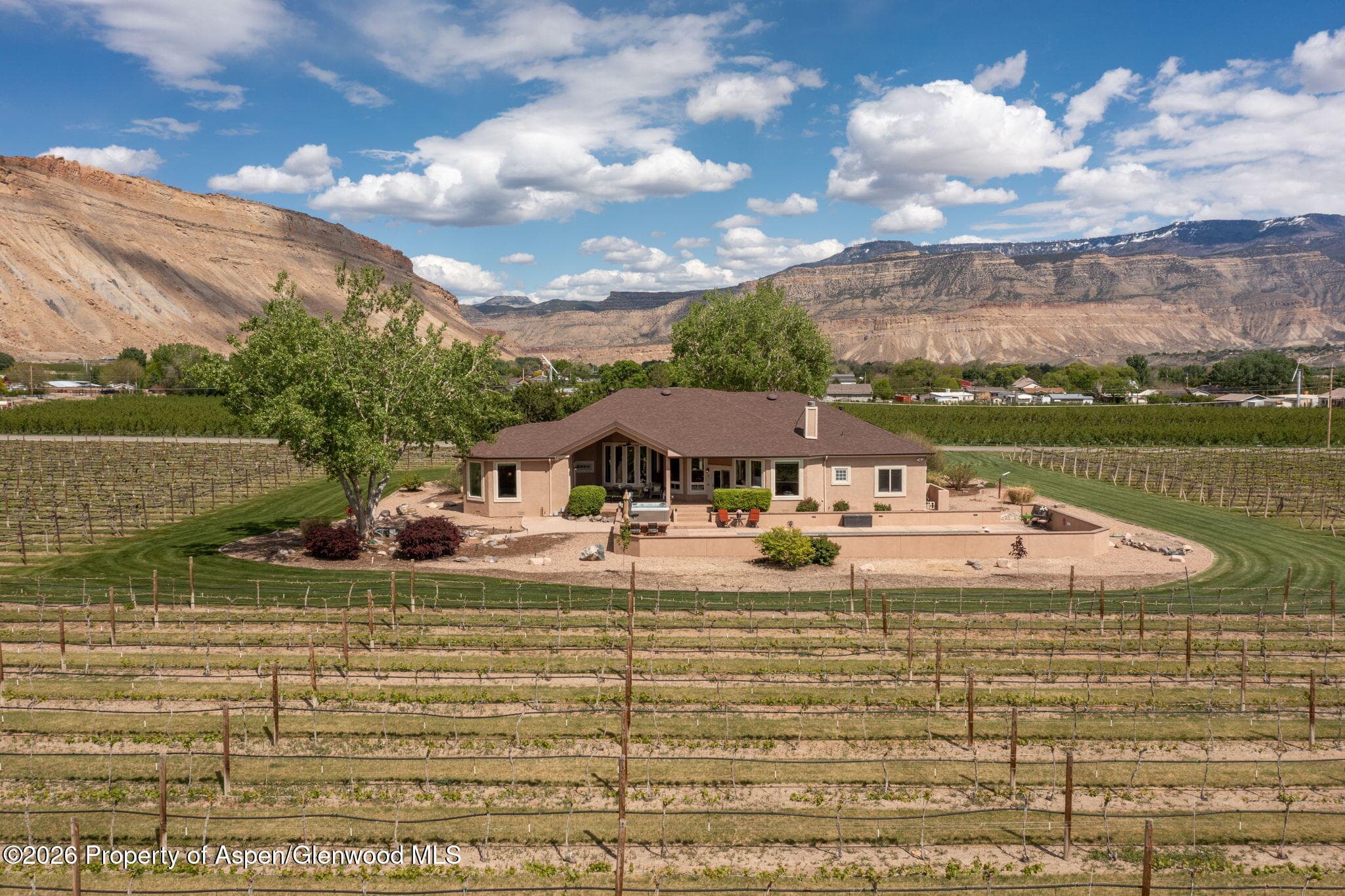 759 36 3/10 Road, Palisade, CO 81526 - Photo 8