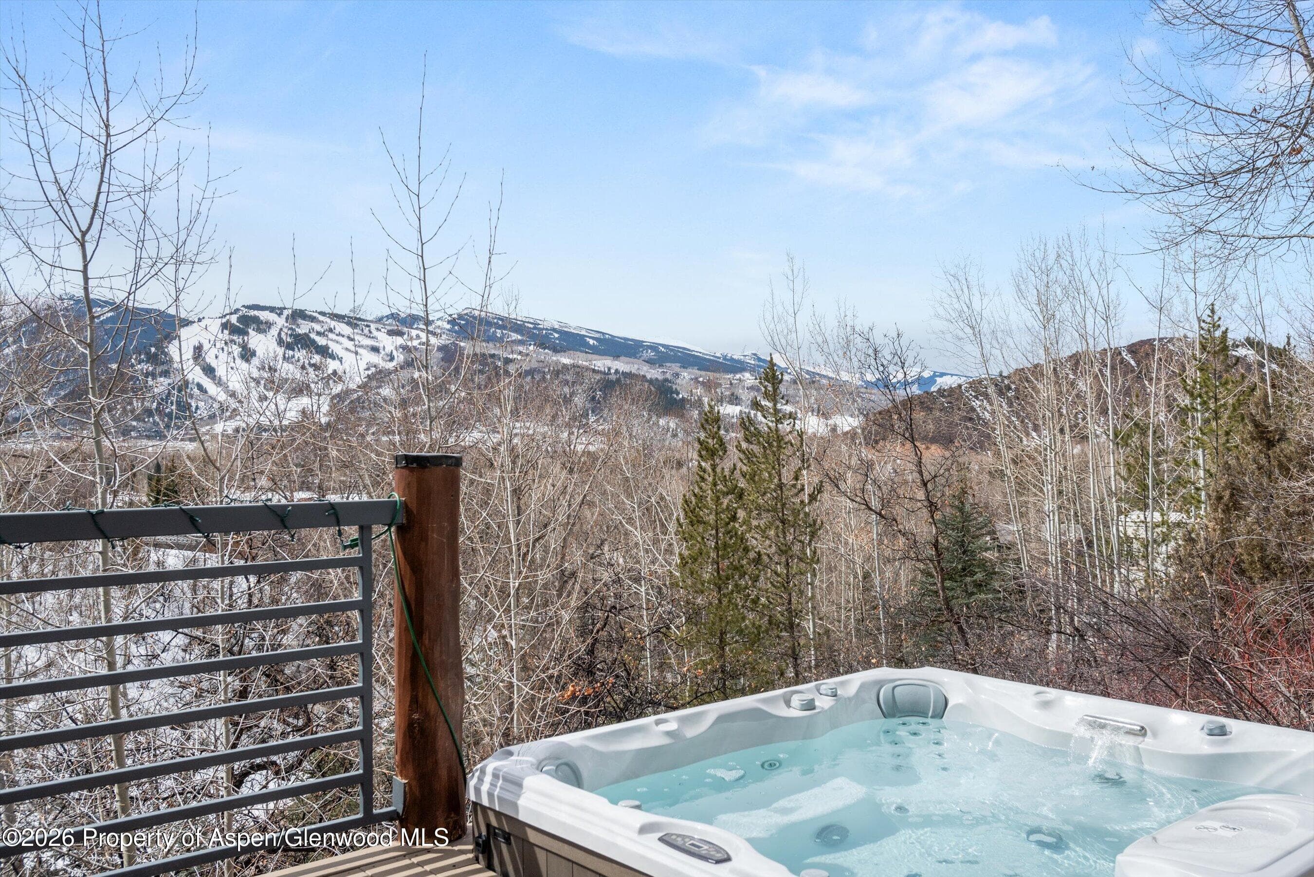 153 Herron Hollow Road, Aspen, CO 81611 - Photo 29
