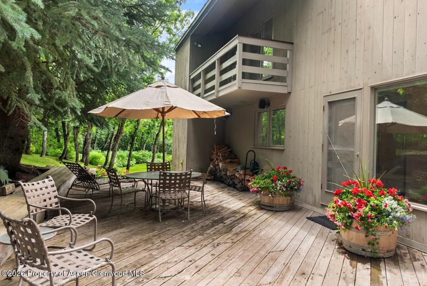209 Larkspur Lane, Aspen, CO 81611 - Photo 23