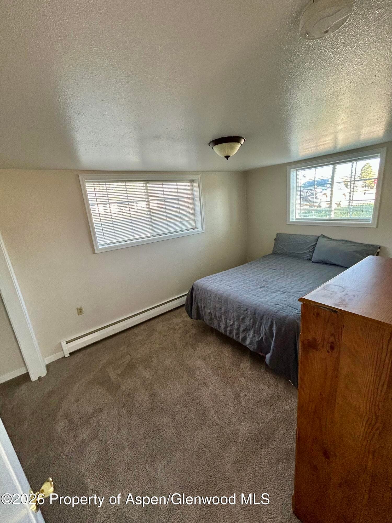 730 Green Street, Craig, CO 81625 - Photo 27