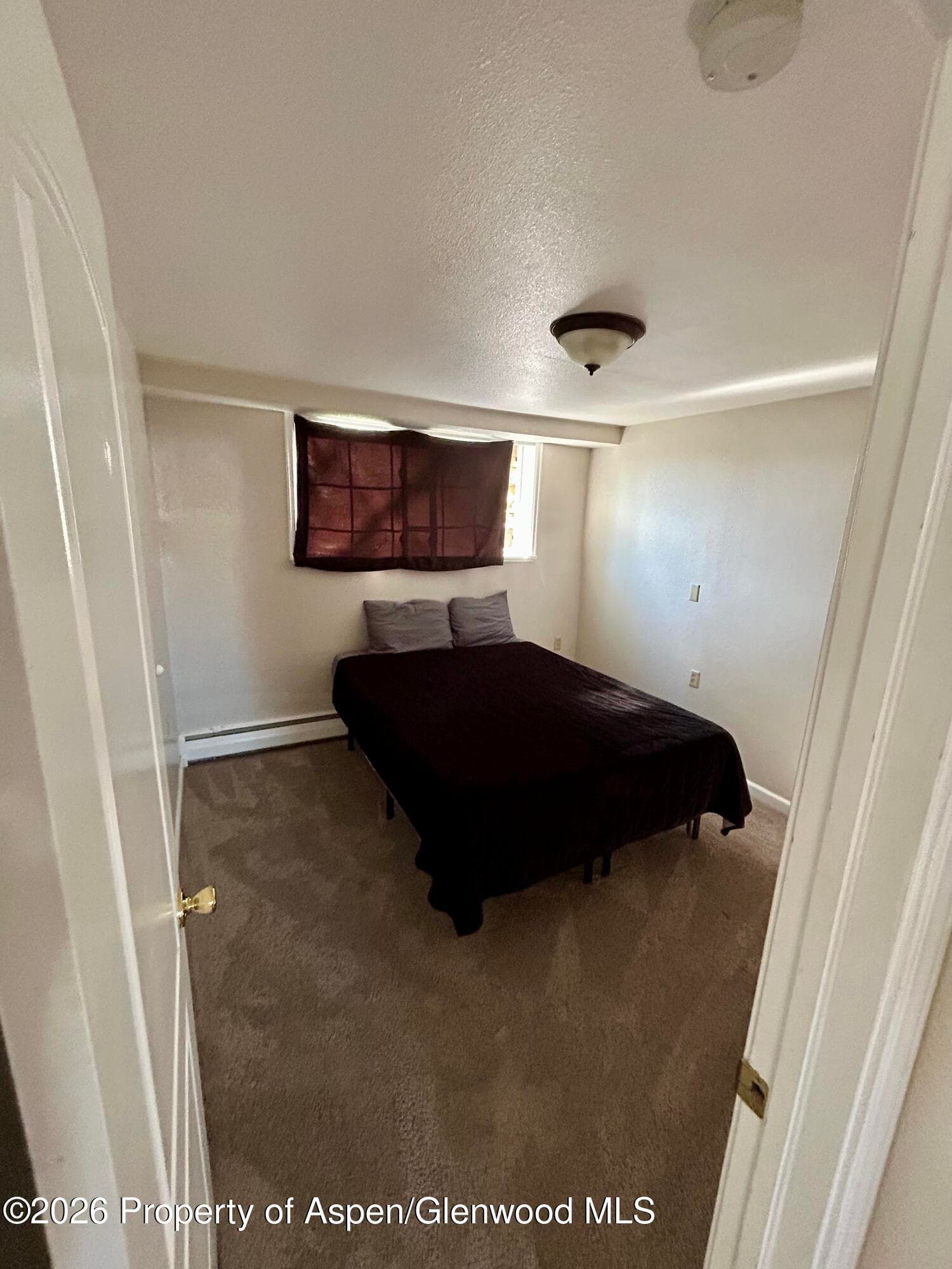 730 Green Street, Craig, CO 81625 - Photo 26