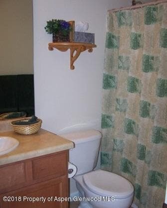 436 Stage Coach Lane, New Castle, CO 81647 - Photo 14